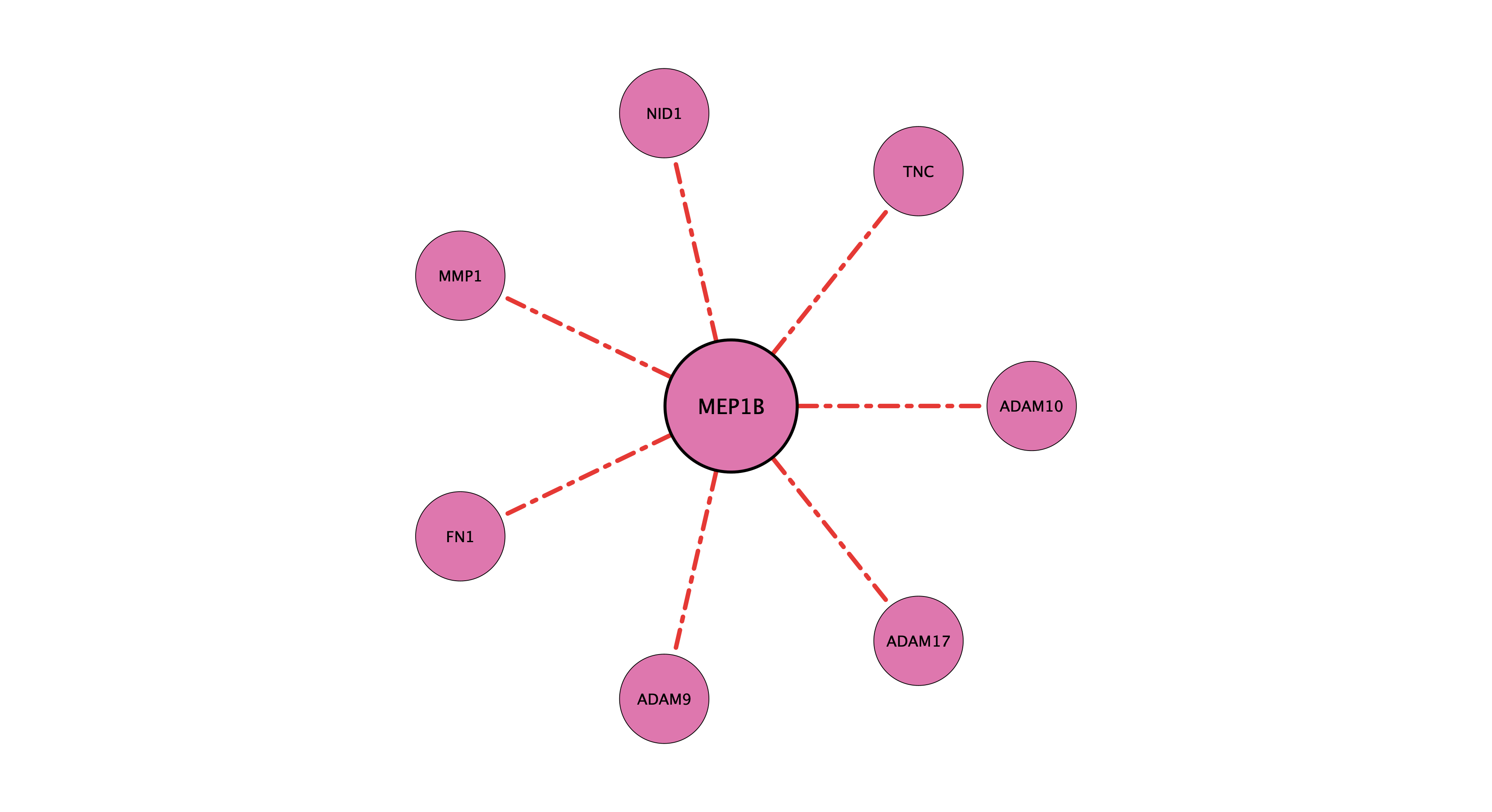 MEP1B protein-substrate network (cleavage)