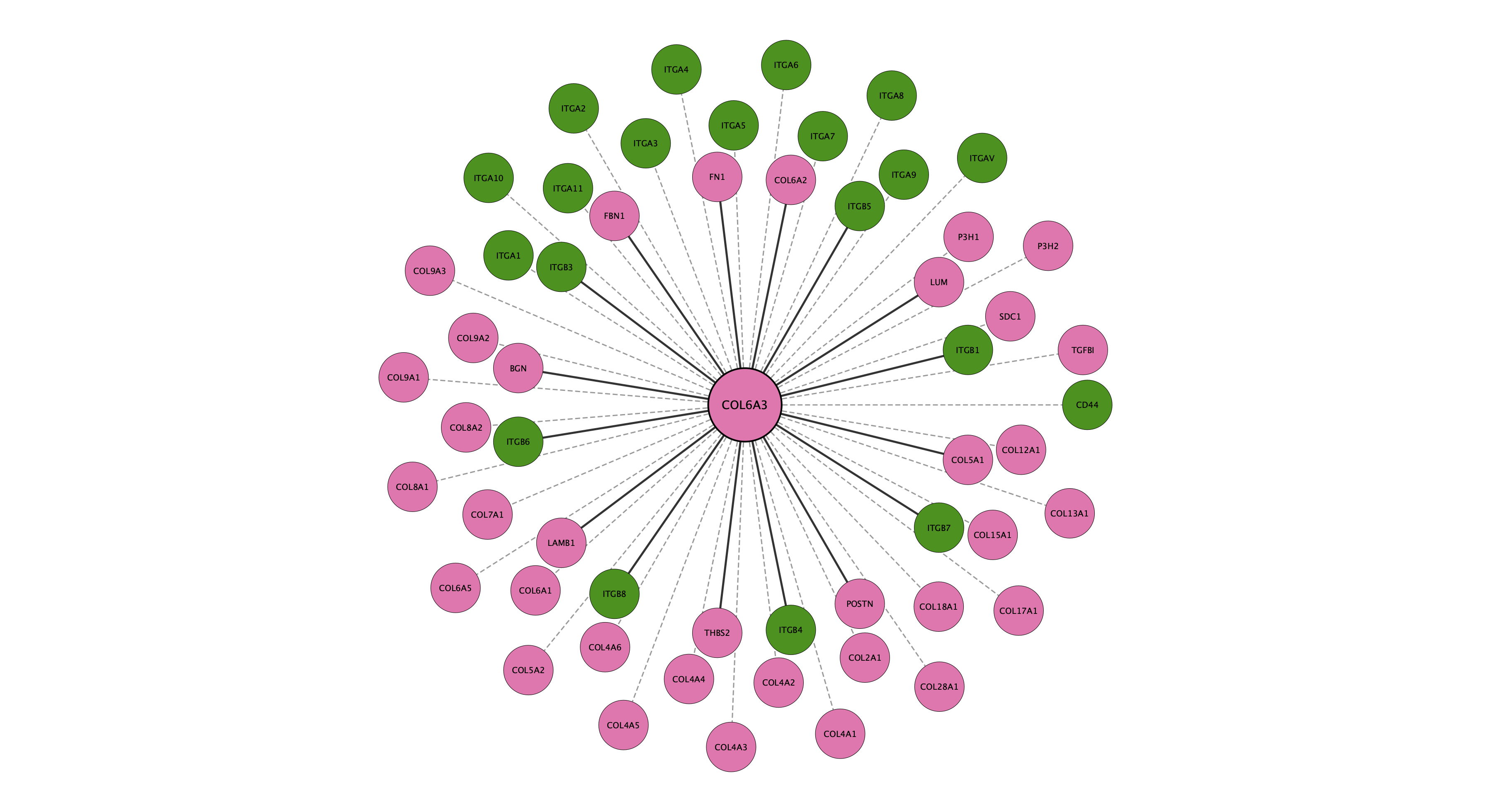 COL6A3 protein interaction network