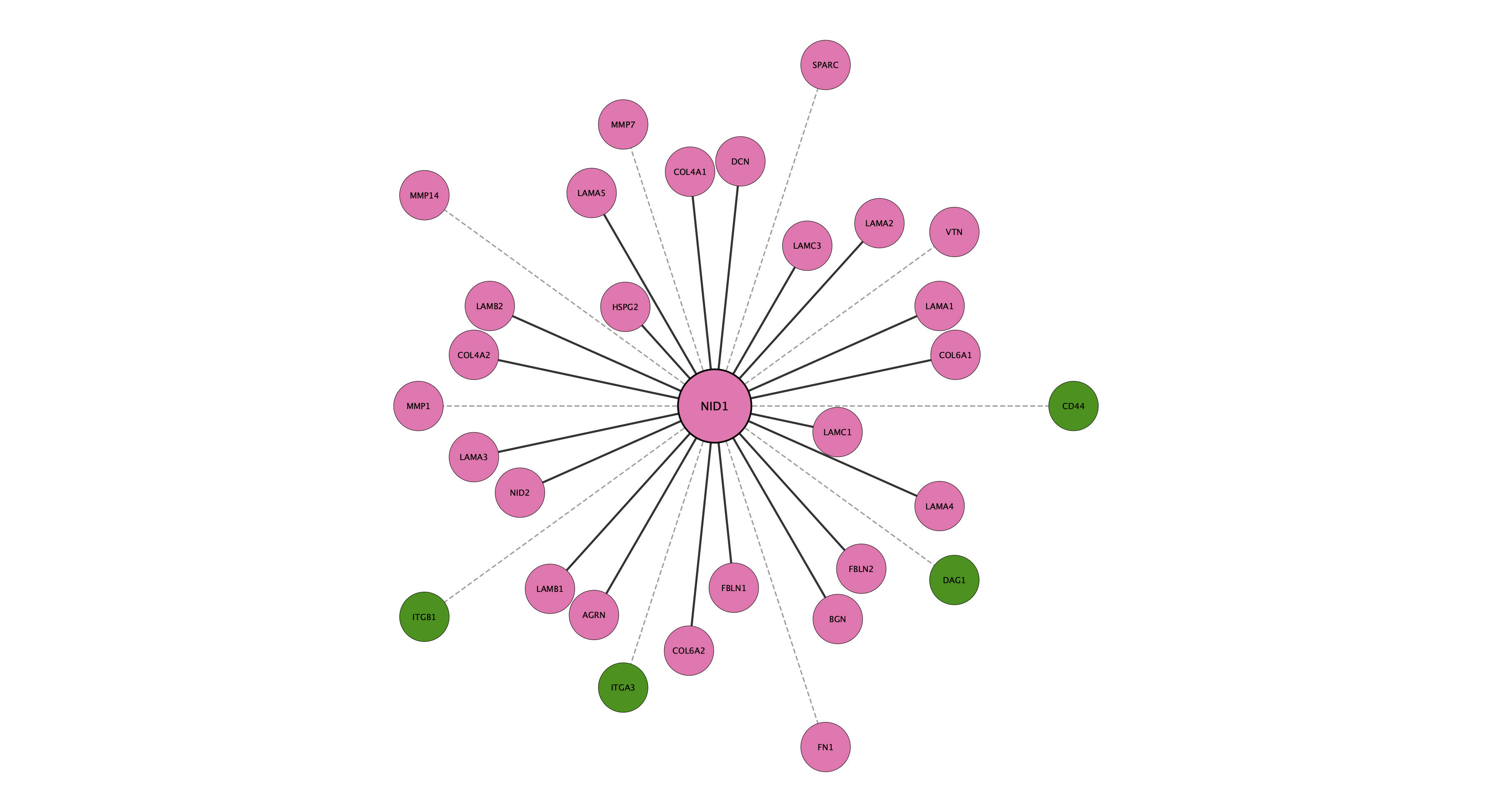 NID1 protein interaction network