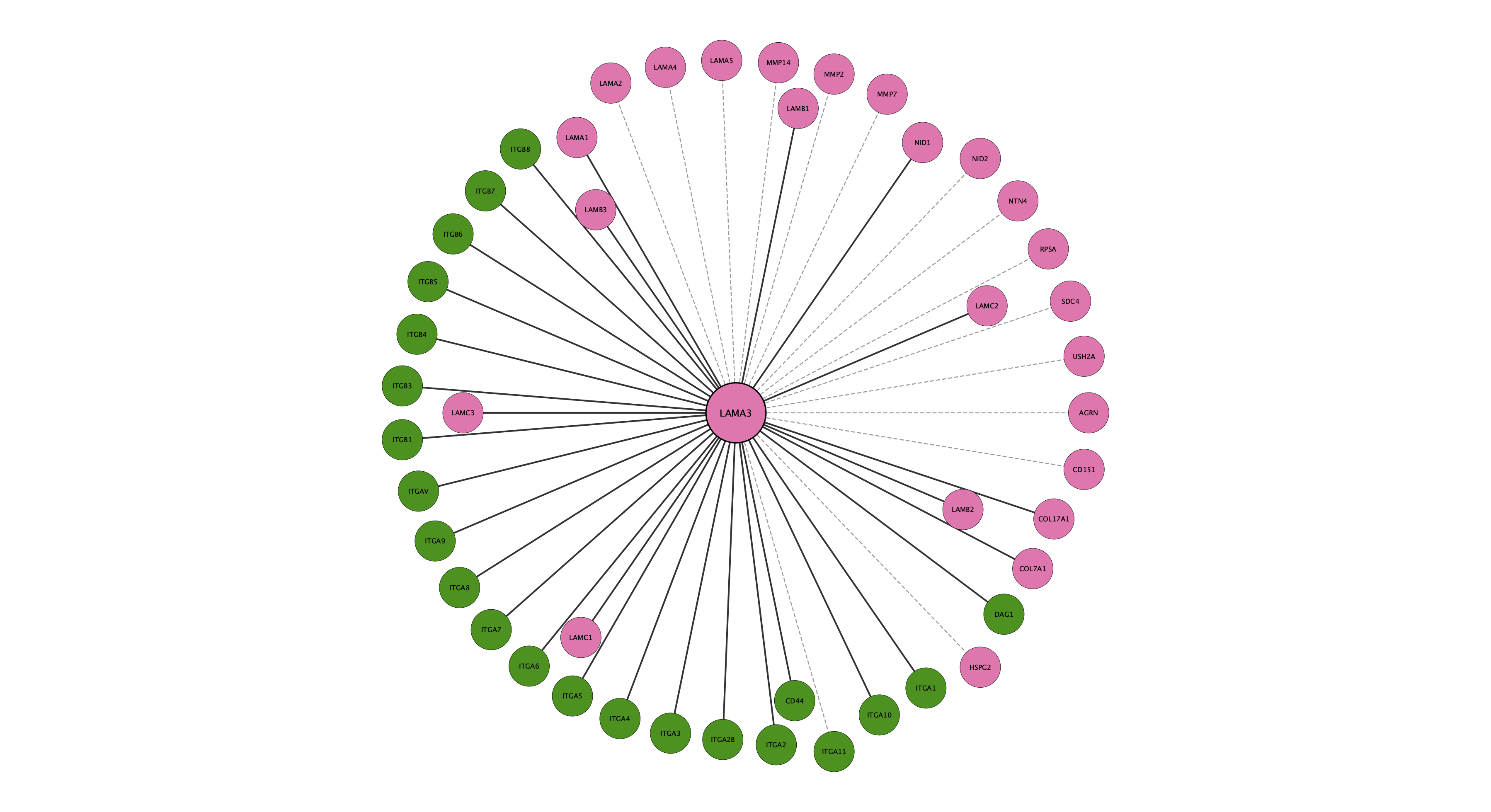 LAMA3 protein interaction network