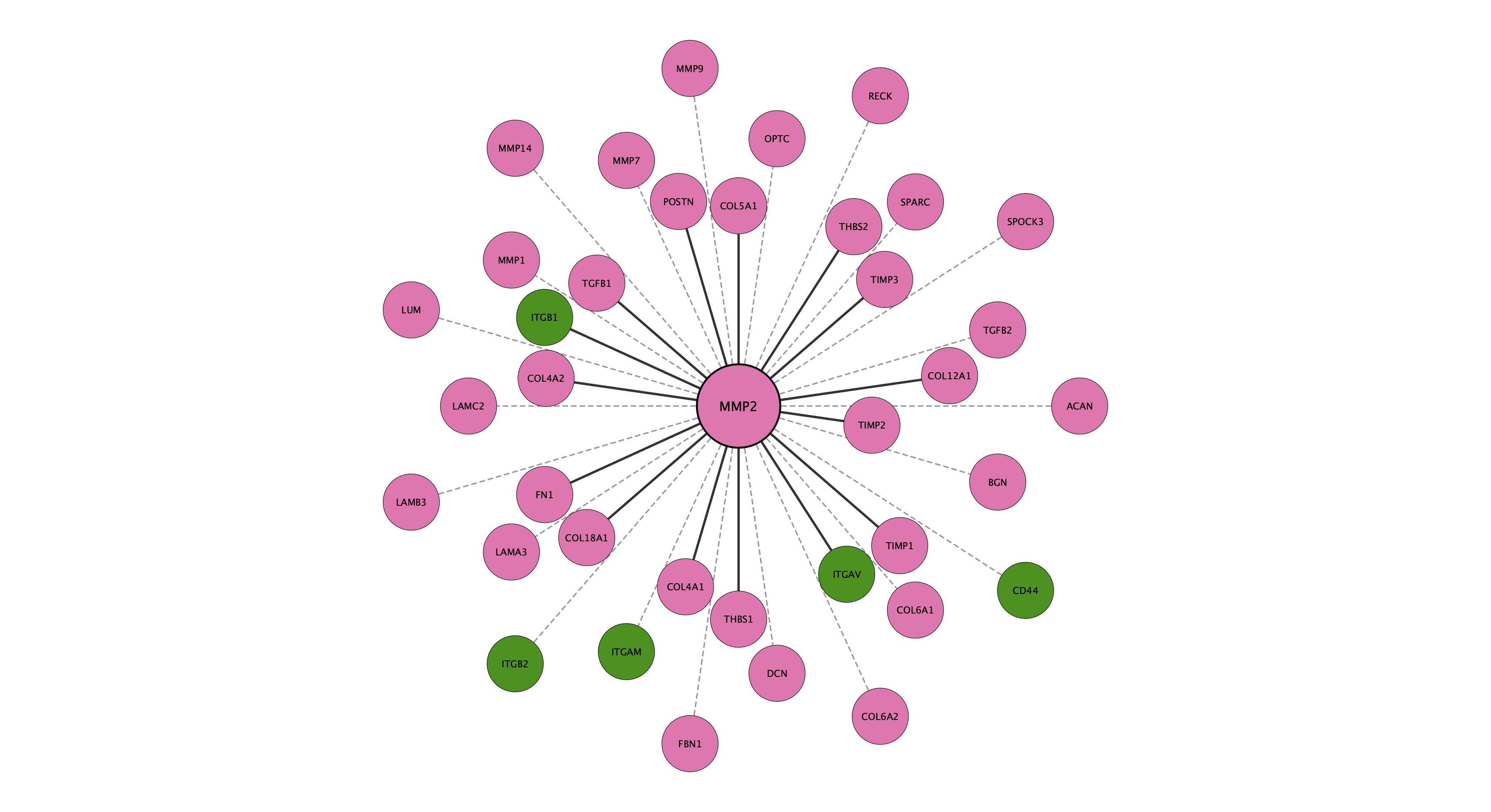 MMP2 protein interaction network