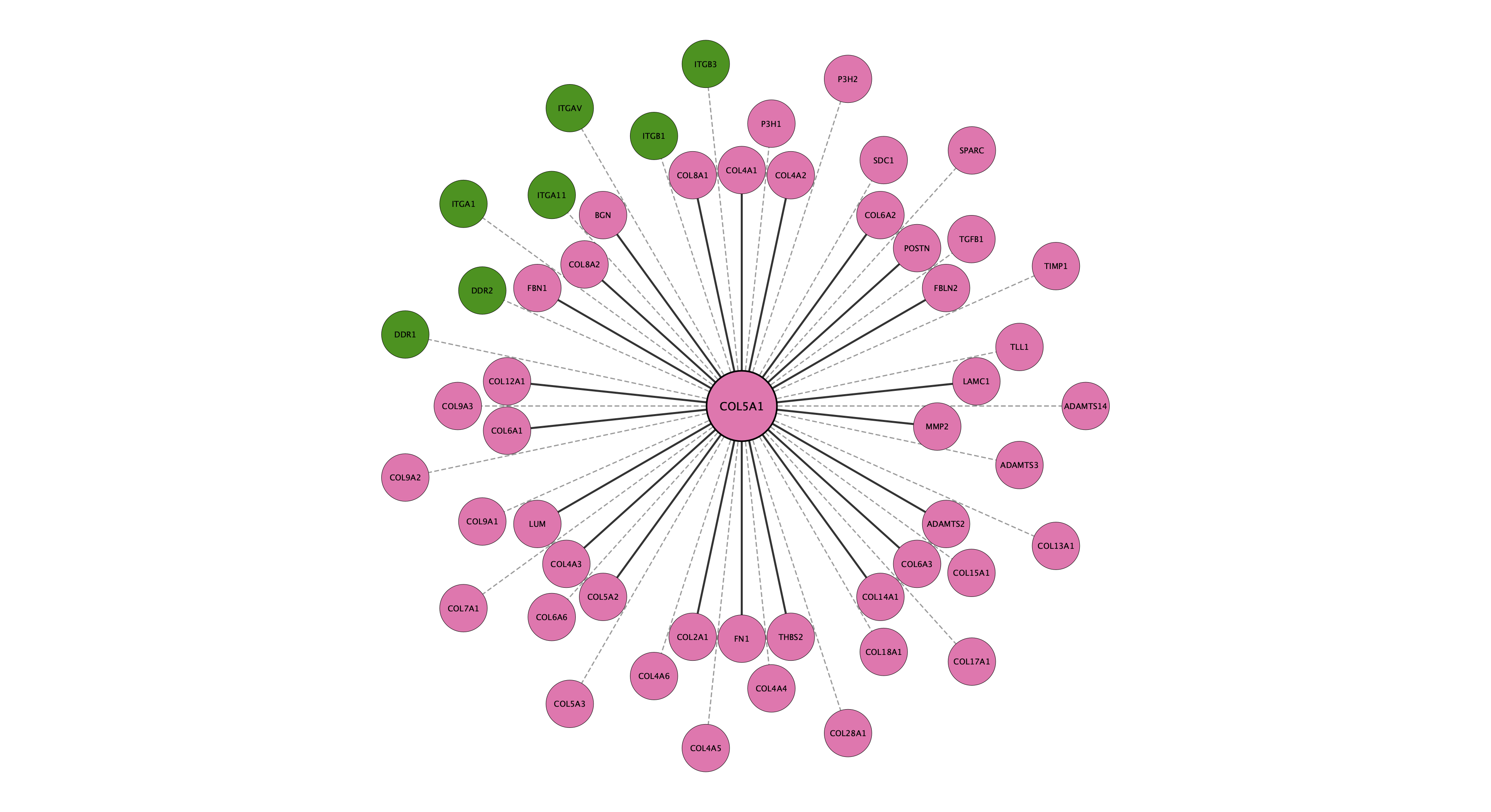 COL5A1 protein interaction network