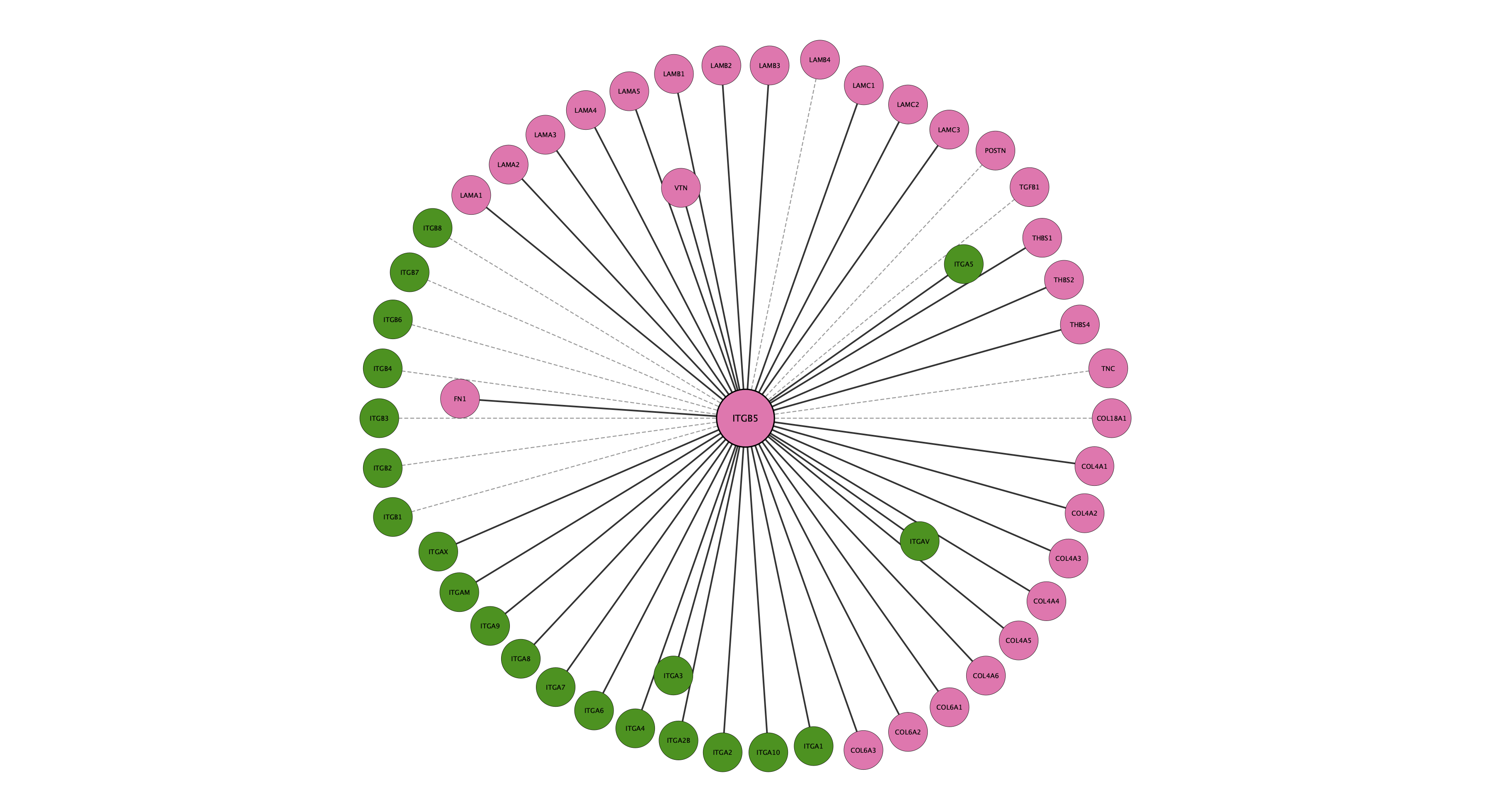 ITGB5 protein interaction network