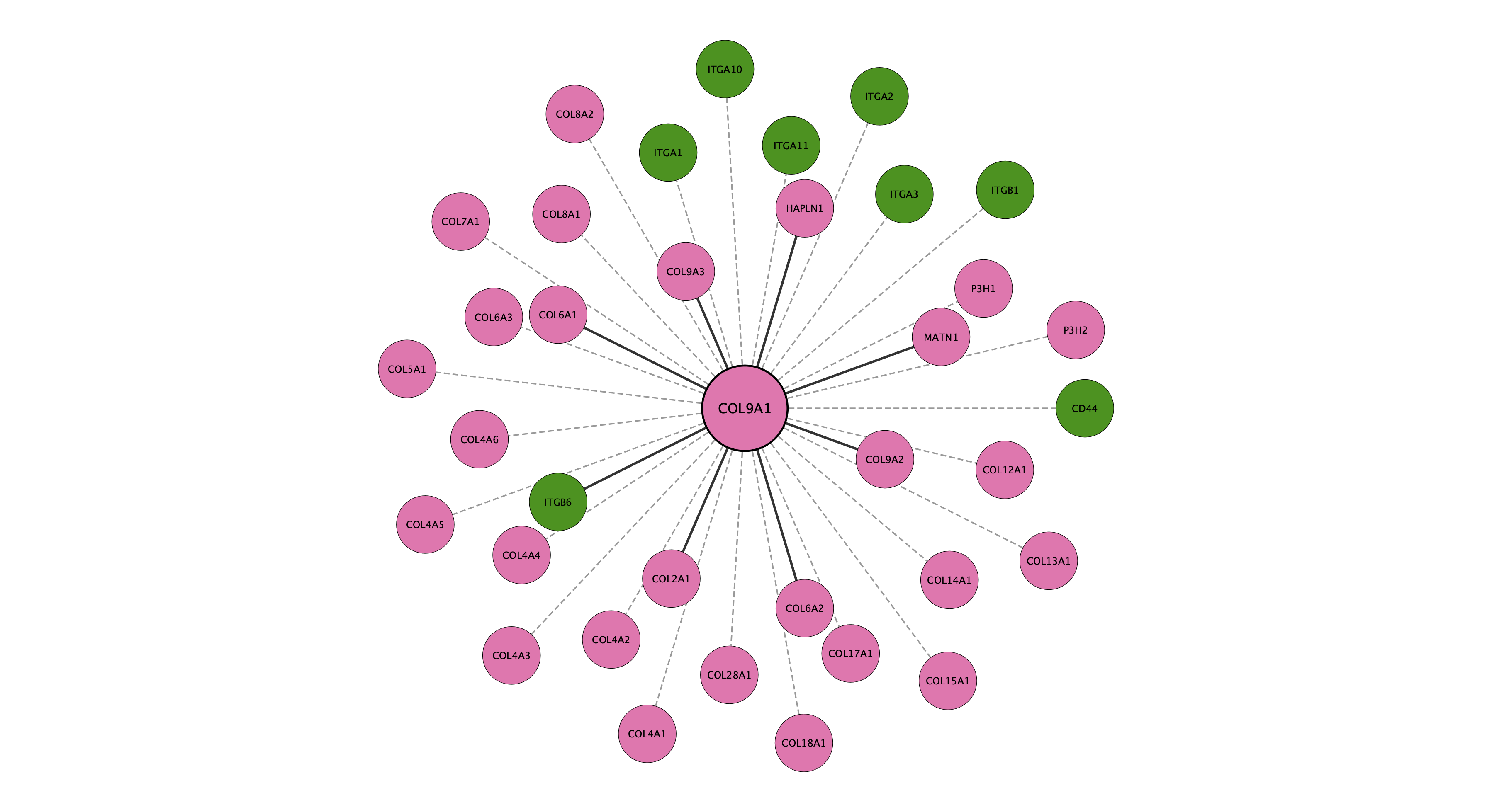 COL9A1 protein interaction network
