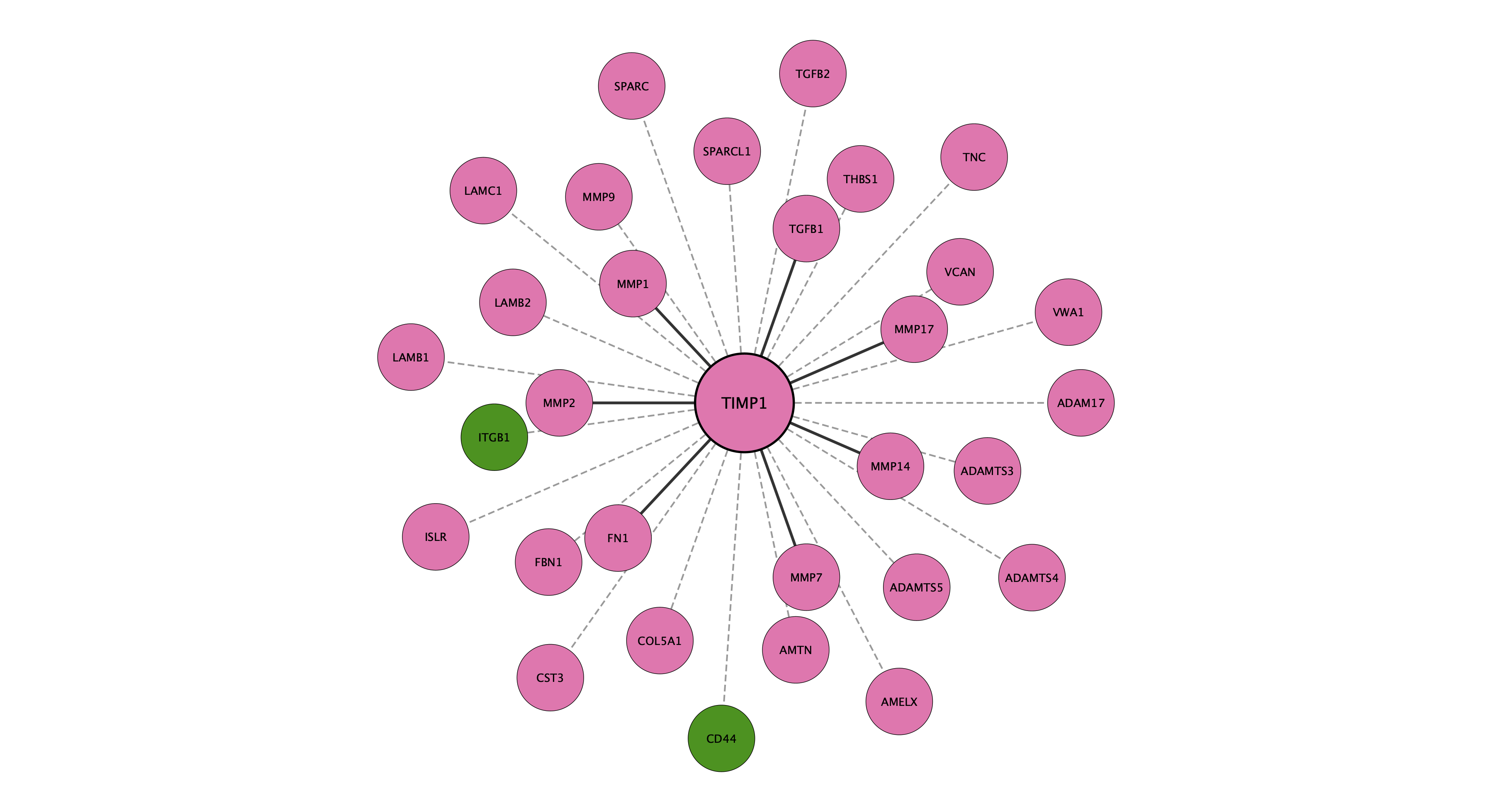 TIMP1 protein interaction network