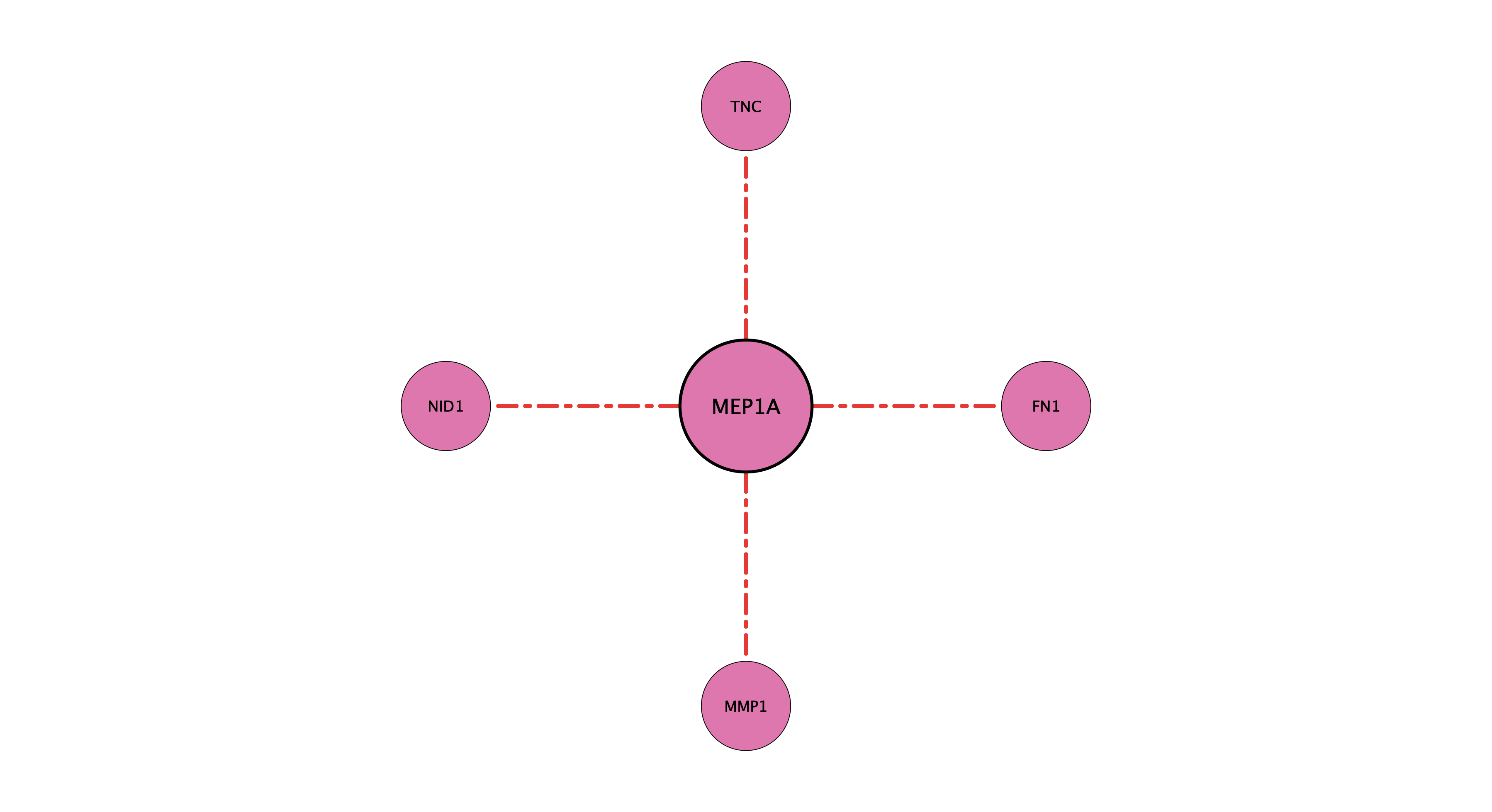 MEP1A protein-substrate network (cleavage)