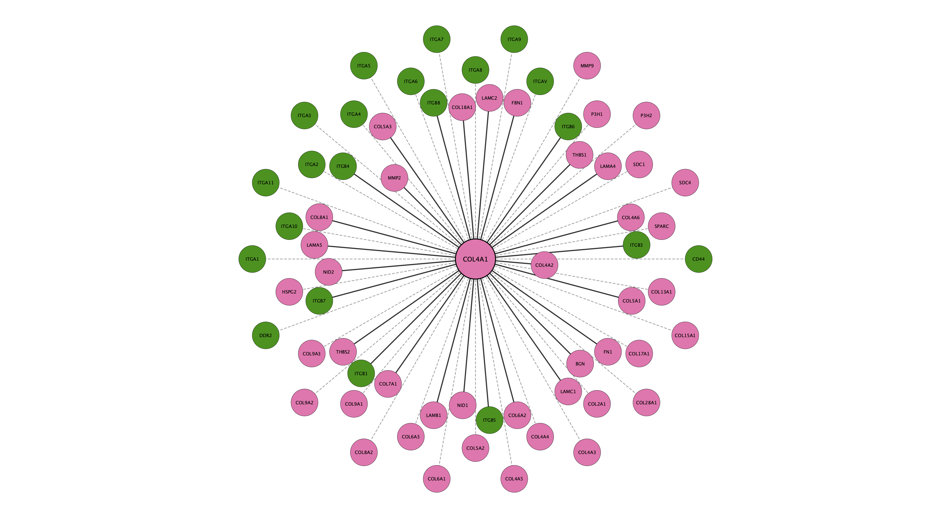 COL4A1 protein interaction network