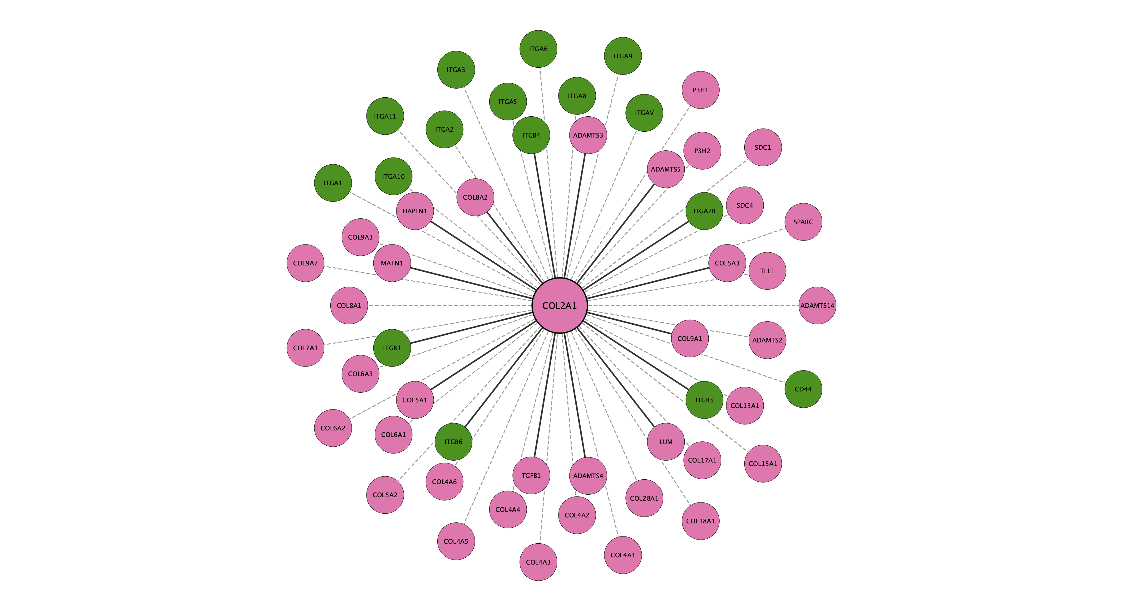 COL2A1 protein interaction network