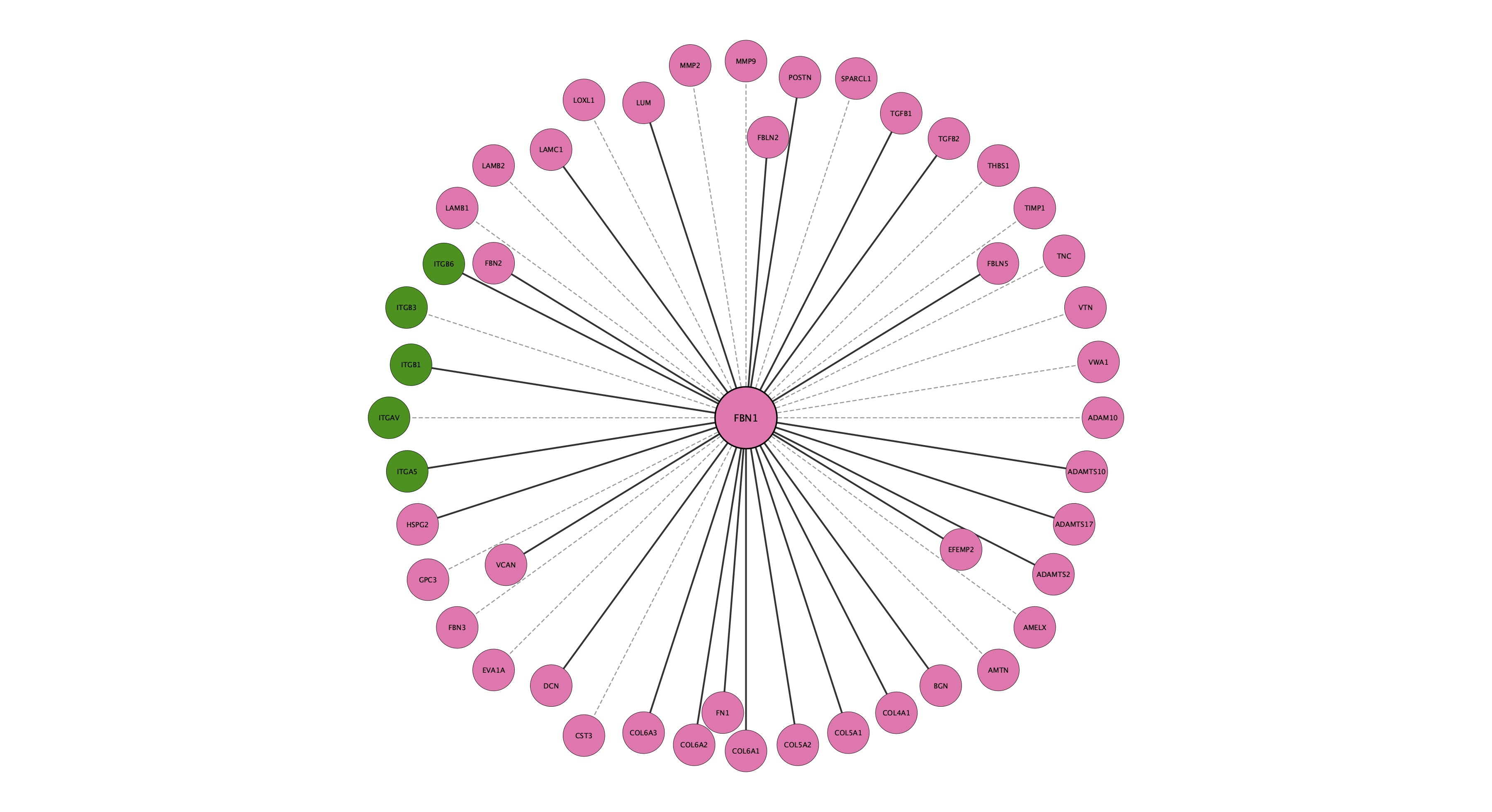 FBN1 protein interaction network