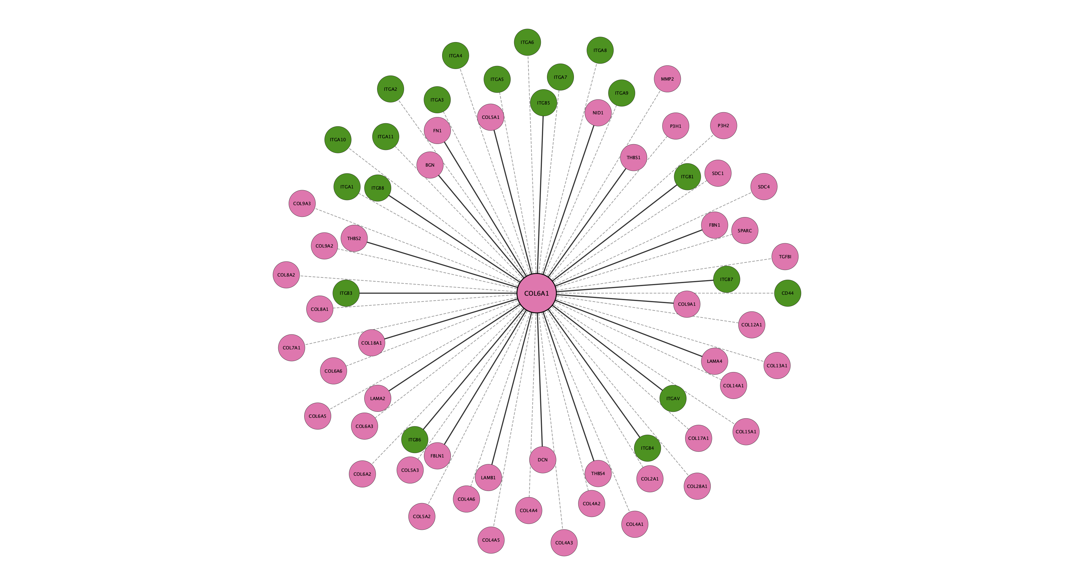 COL6A1 protein interaction network