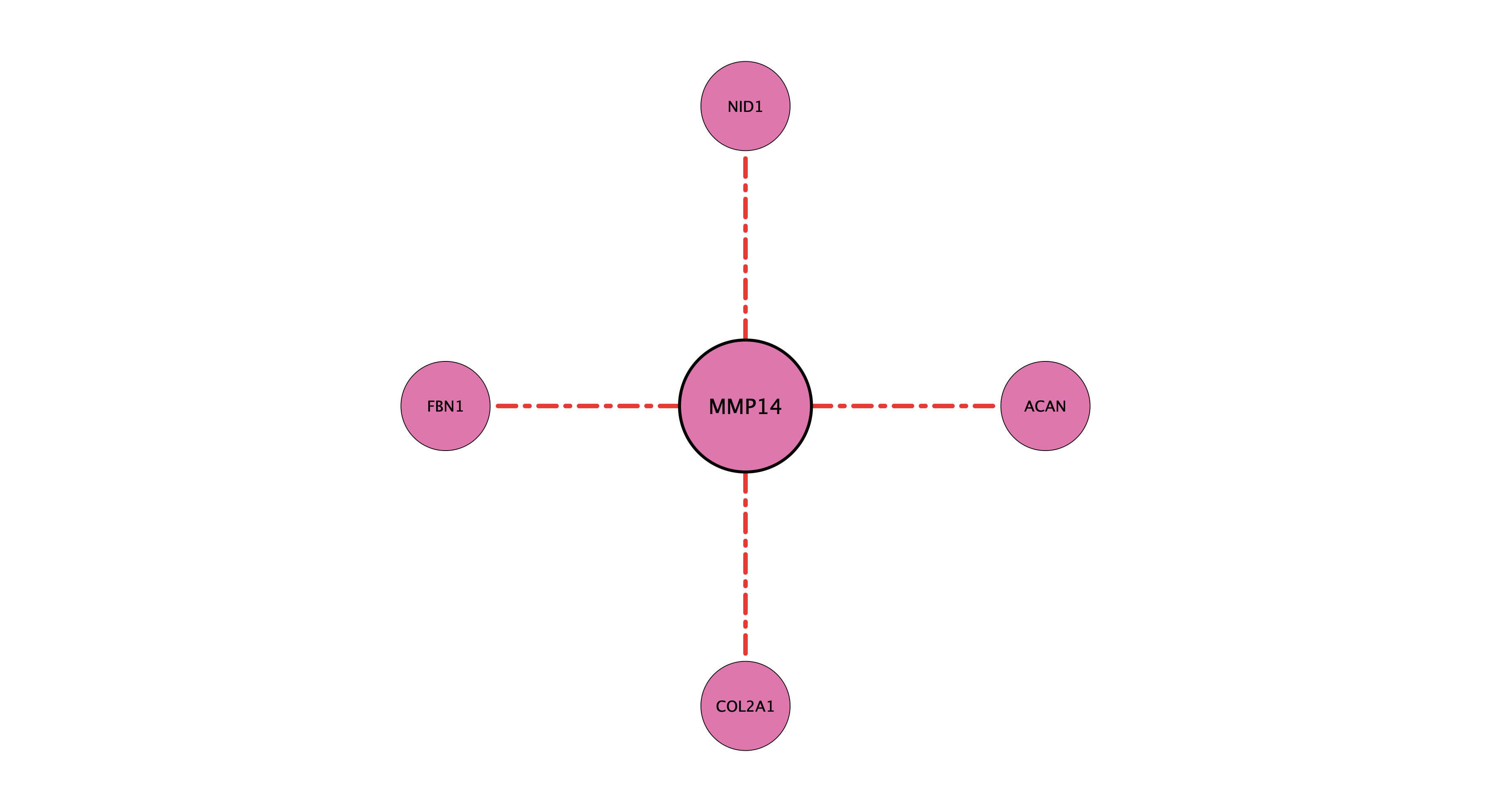 MMP14 protein-substrate network (cleavage)