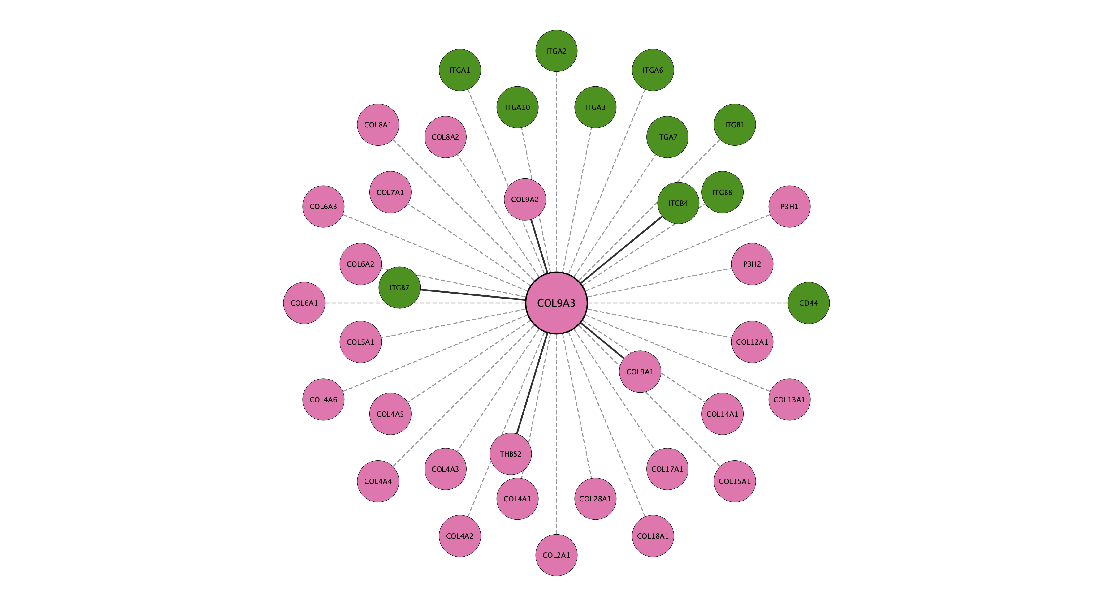 COL9A3 protein interaction network