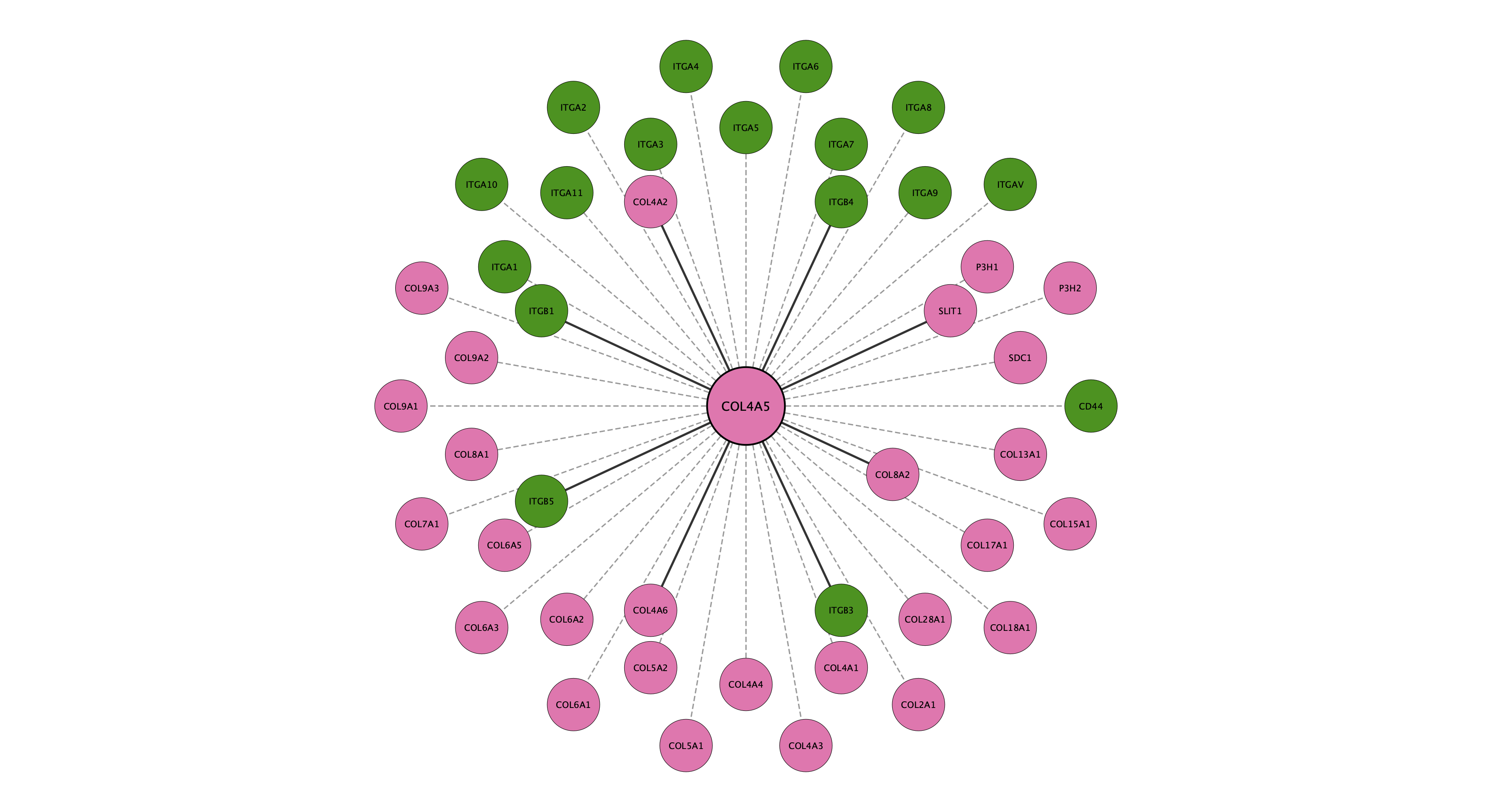 COL4A5 protein interaction network