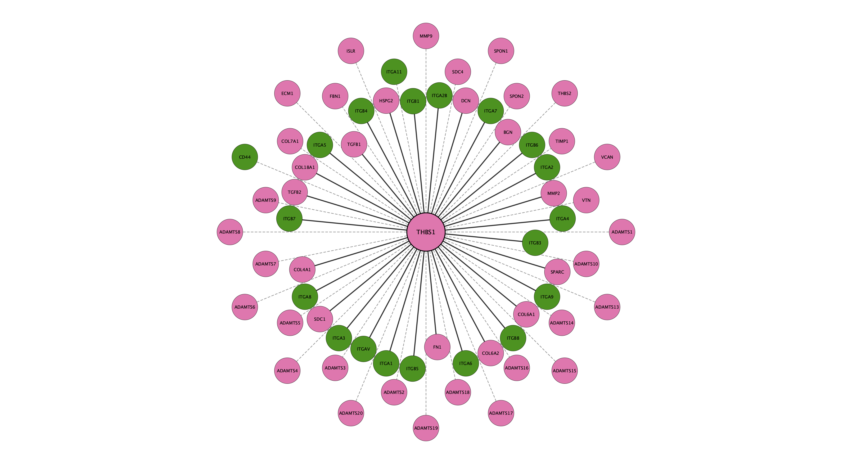 THBS1 protein interaction network