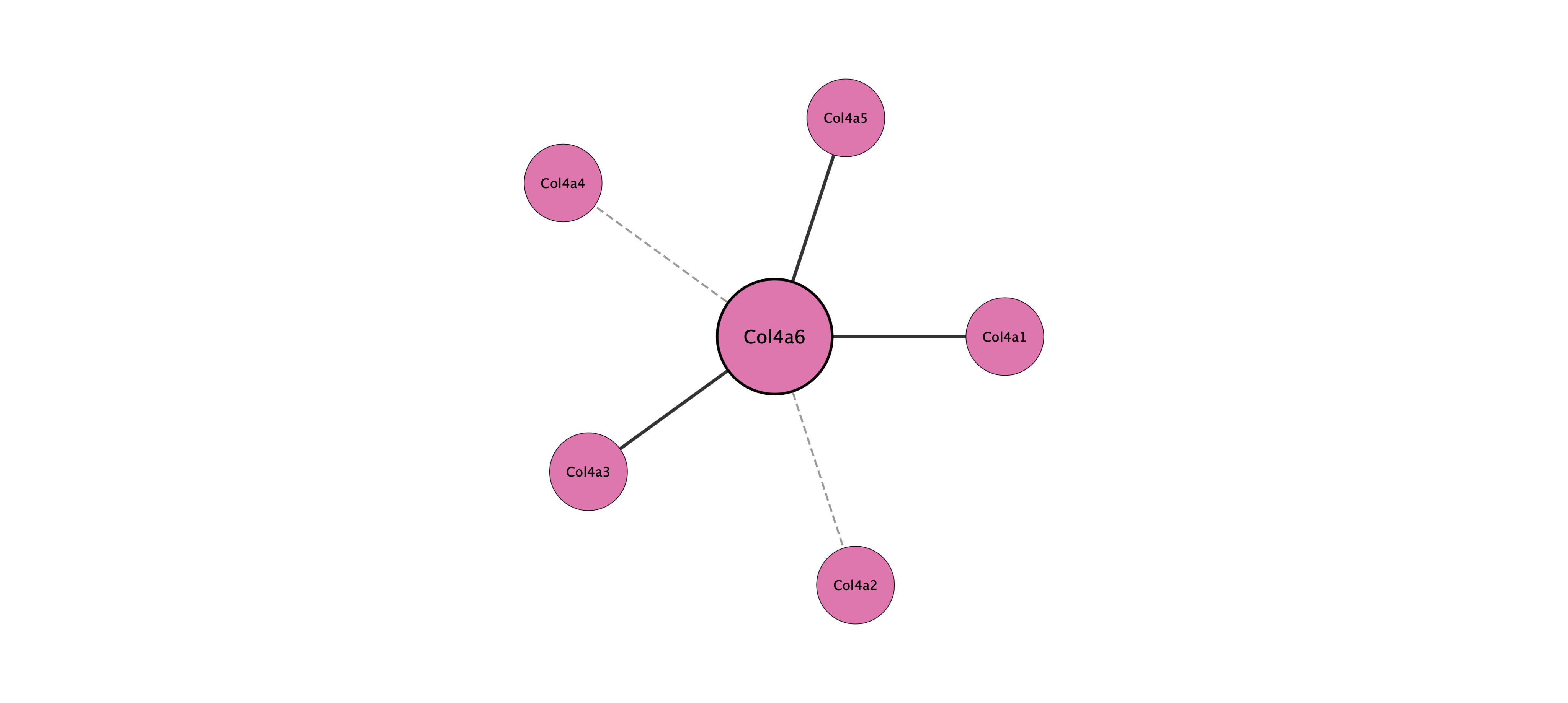 Col4a6 protein interaction network