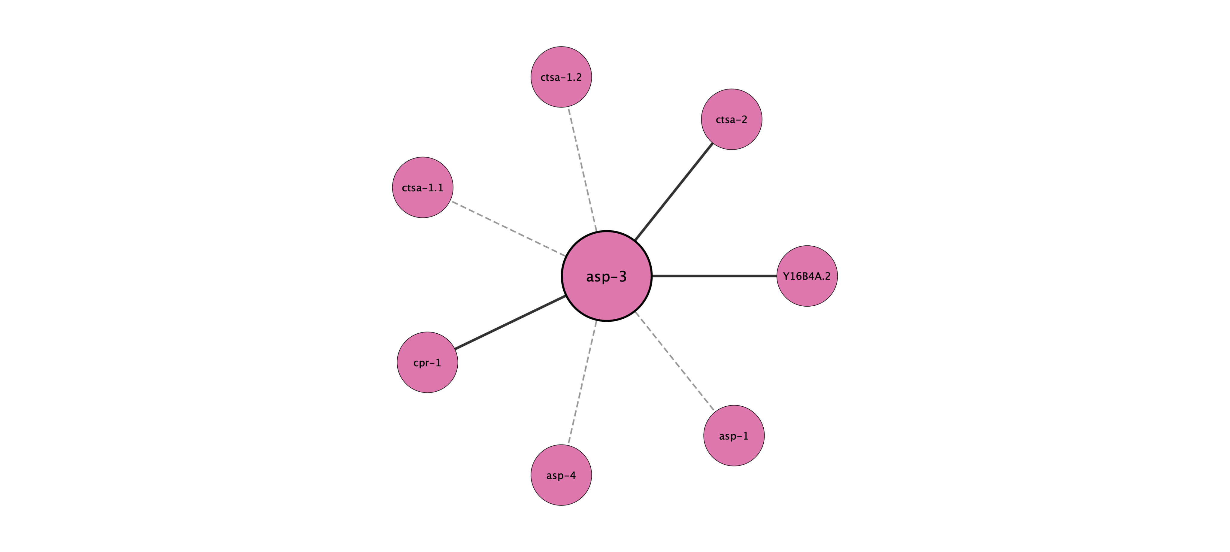asp-3 protein interaction network