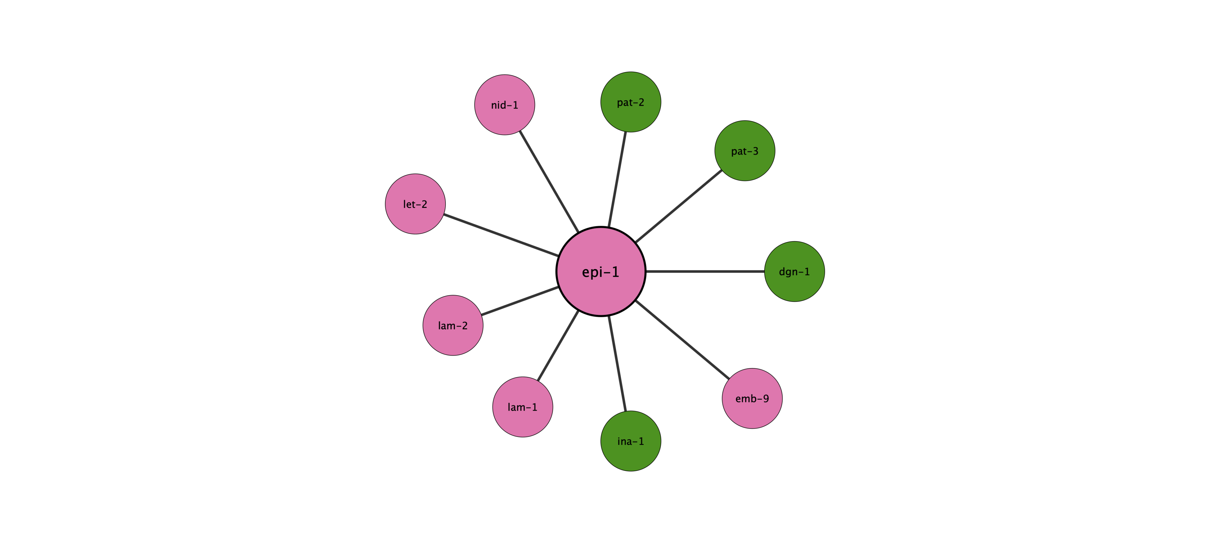 epi-1 protein interaction network