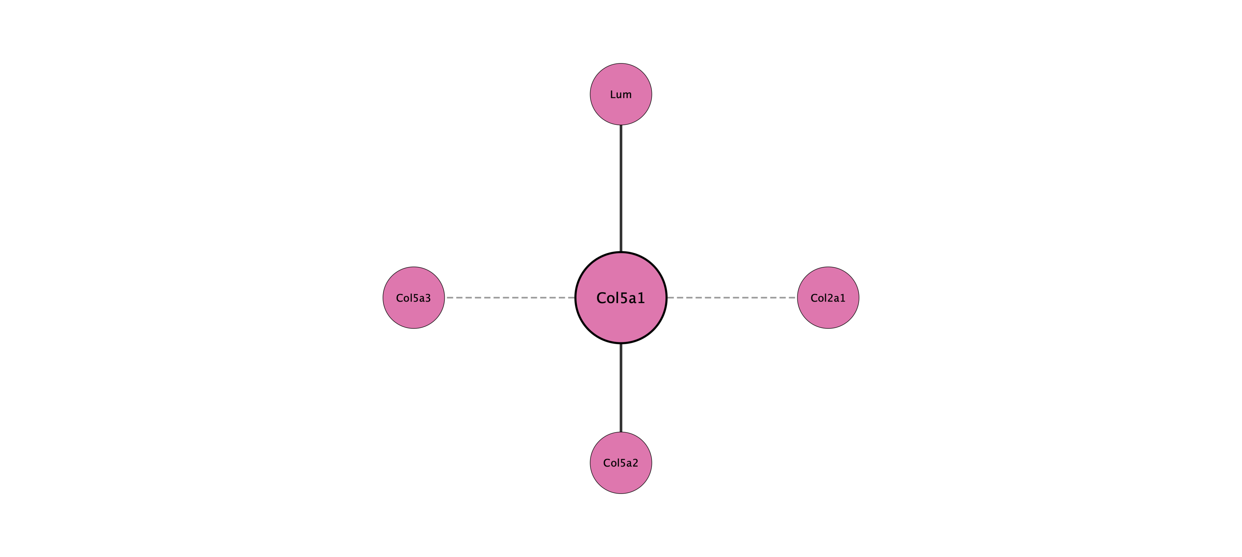 Col5a1 protein interaction network