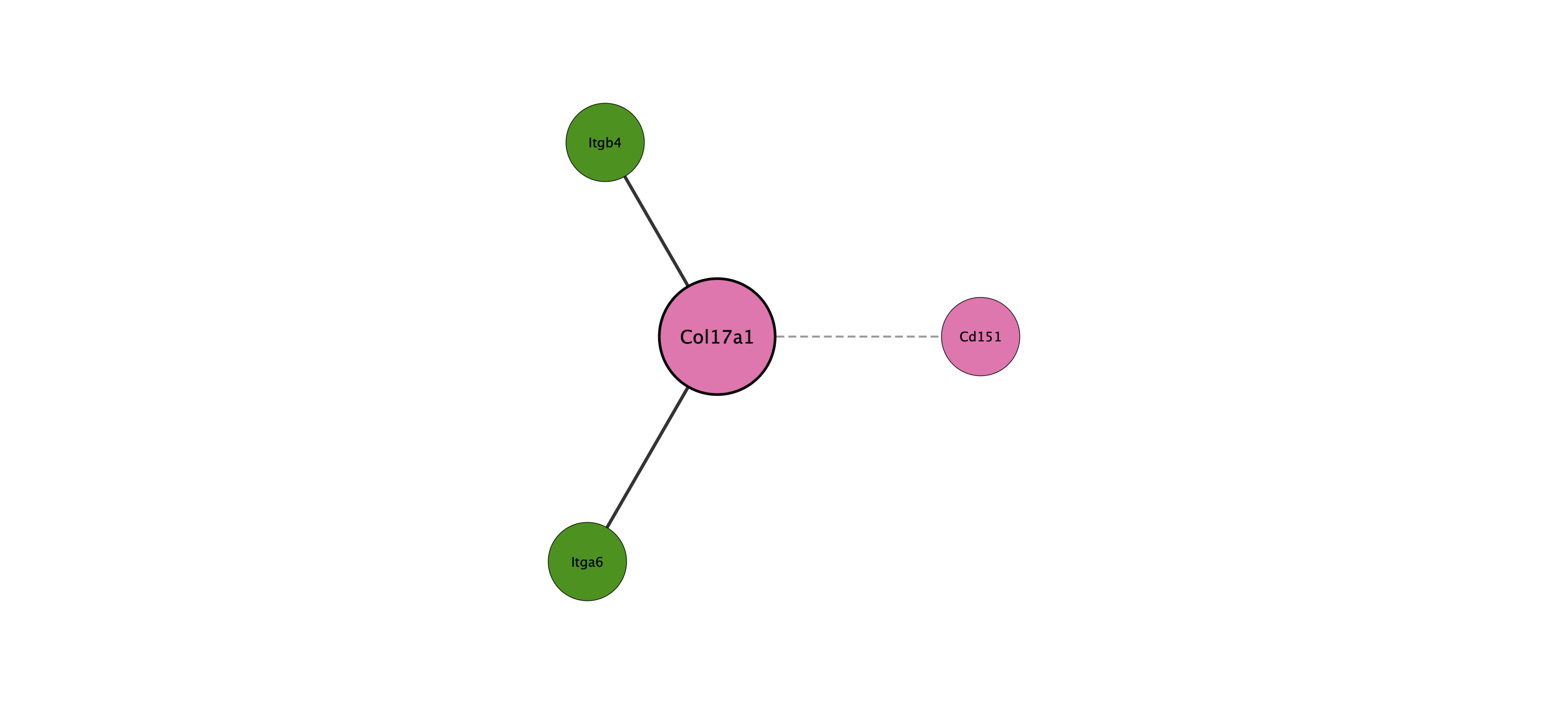 Col17a1 protein interaction network