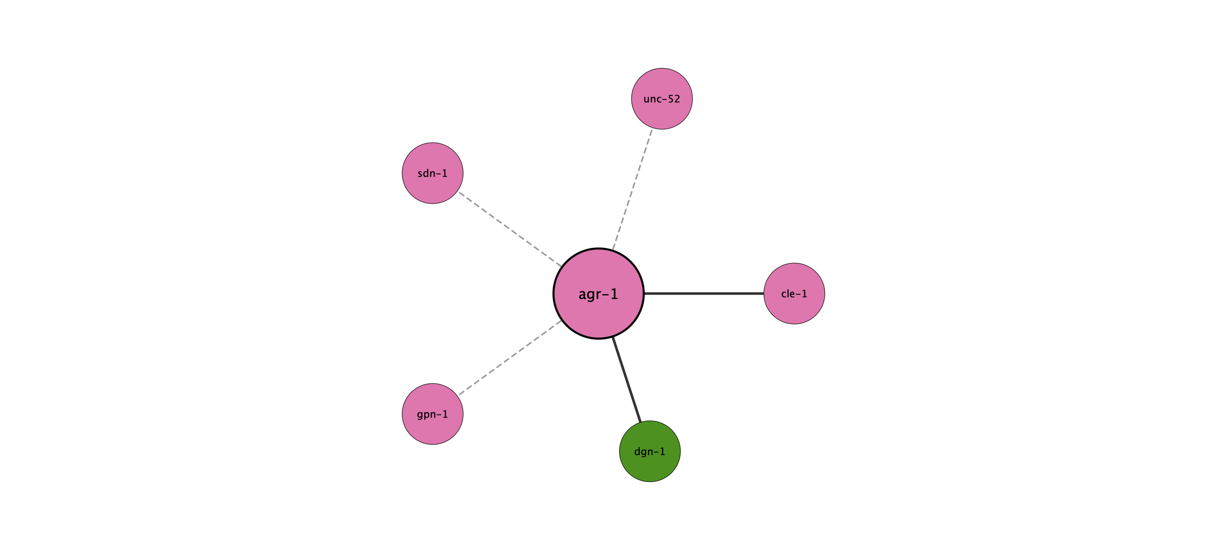 agr-1 protein interaction network