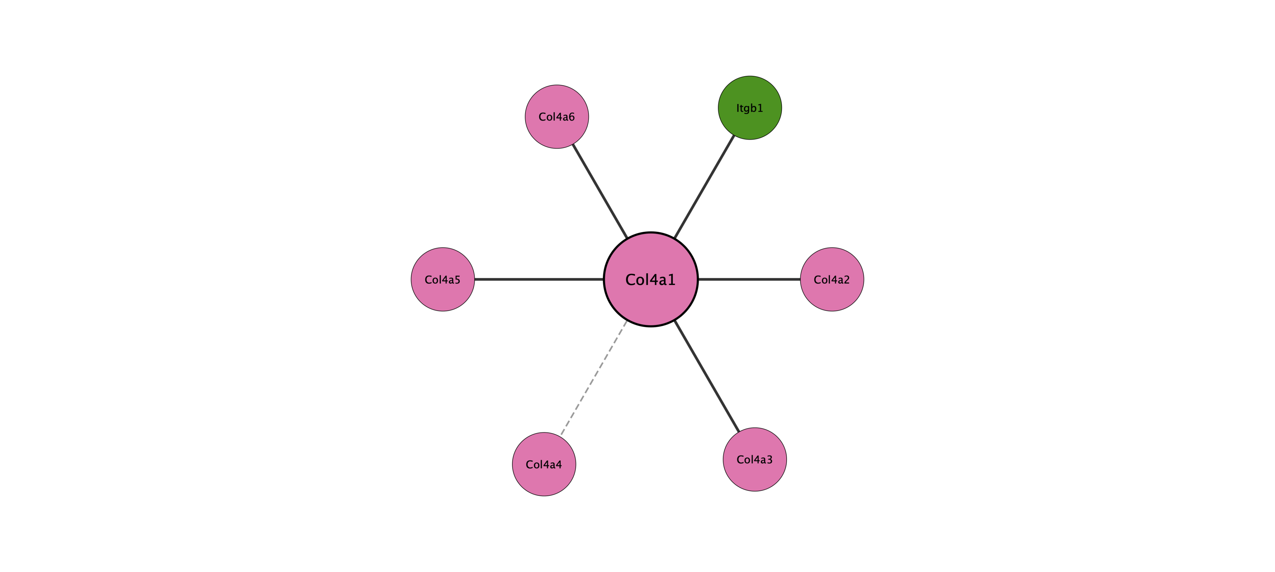 Col4a1 protein interaction network