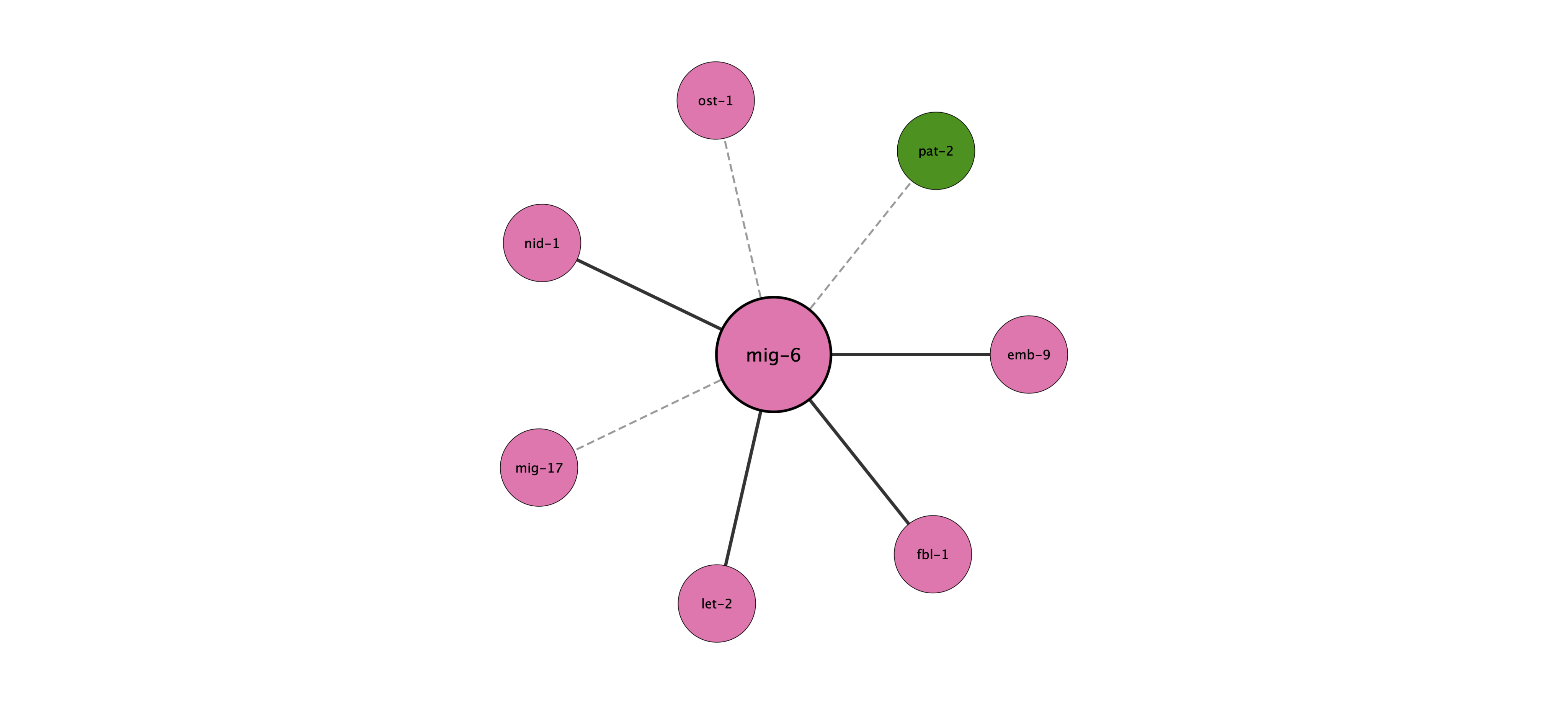 mig-6 protein interaction network