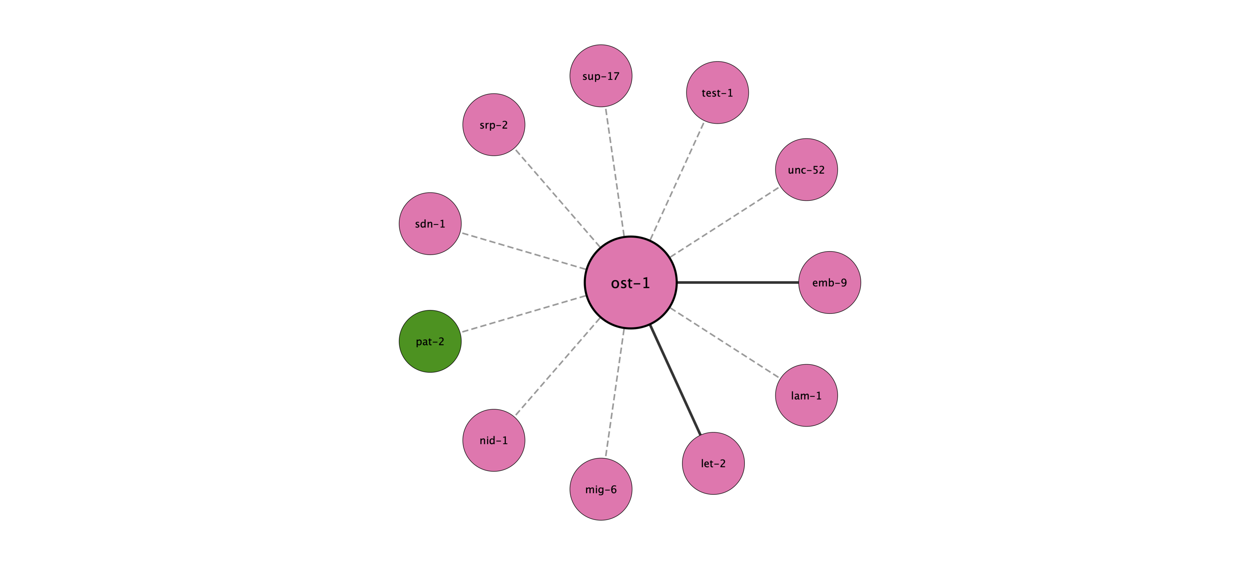 ost-1 protein interaction network