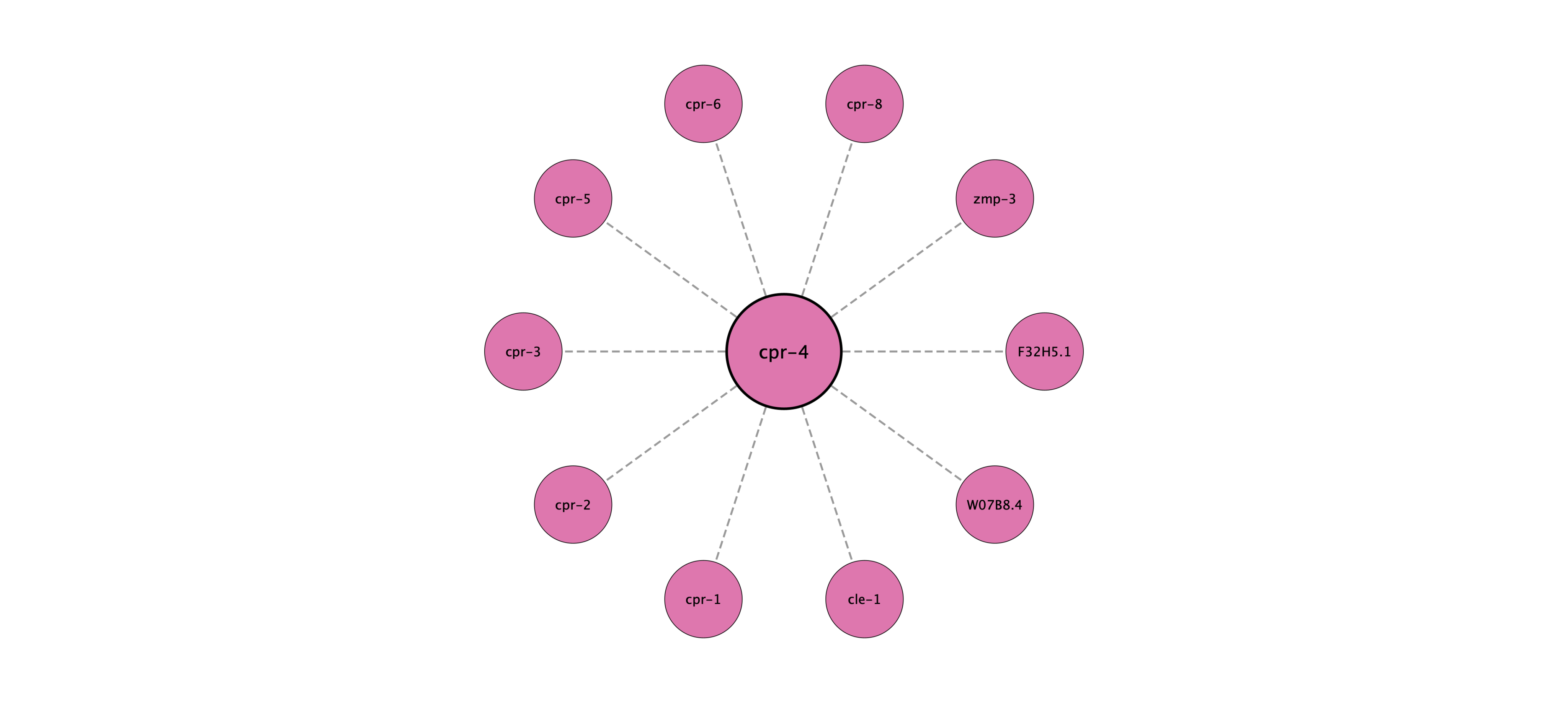 cpr-4 protein interaction network