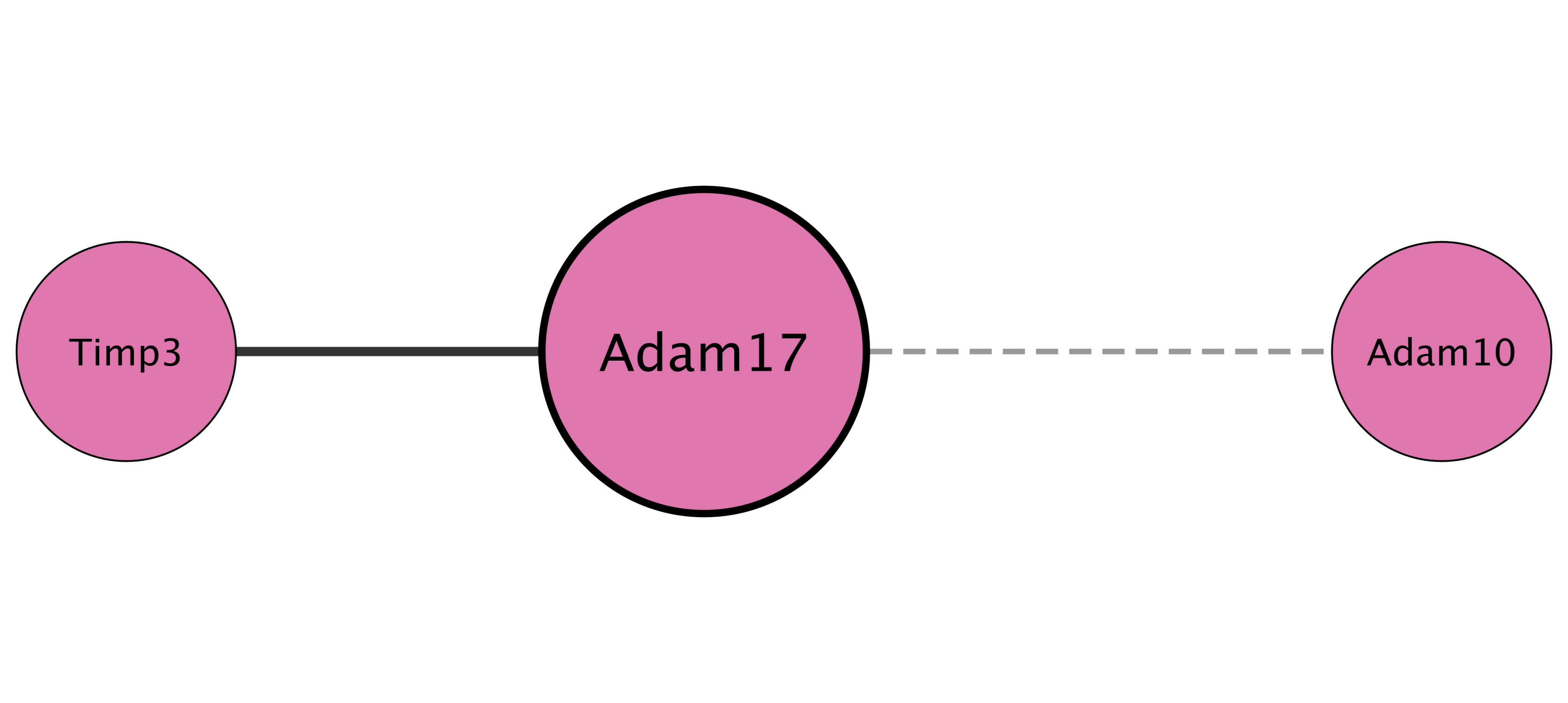 Adam17 protein interaction network