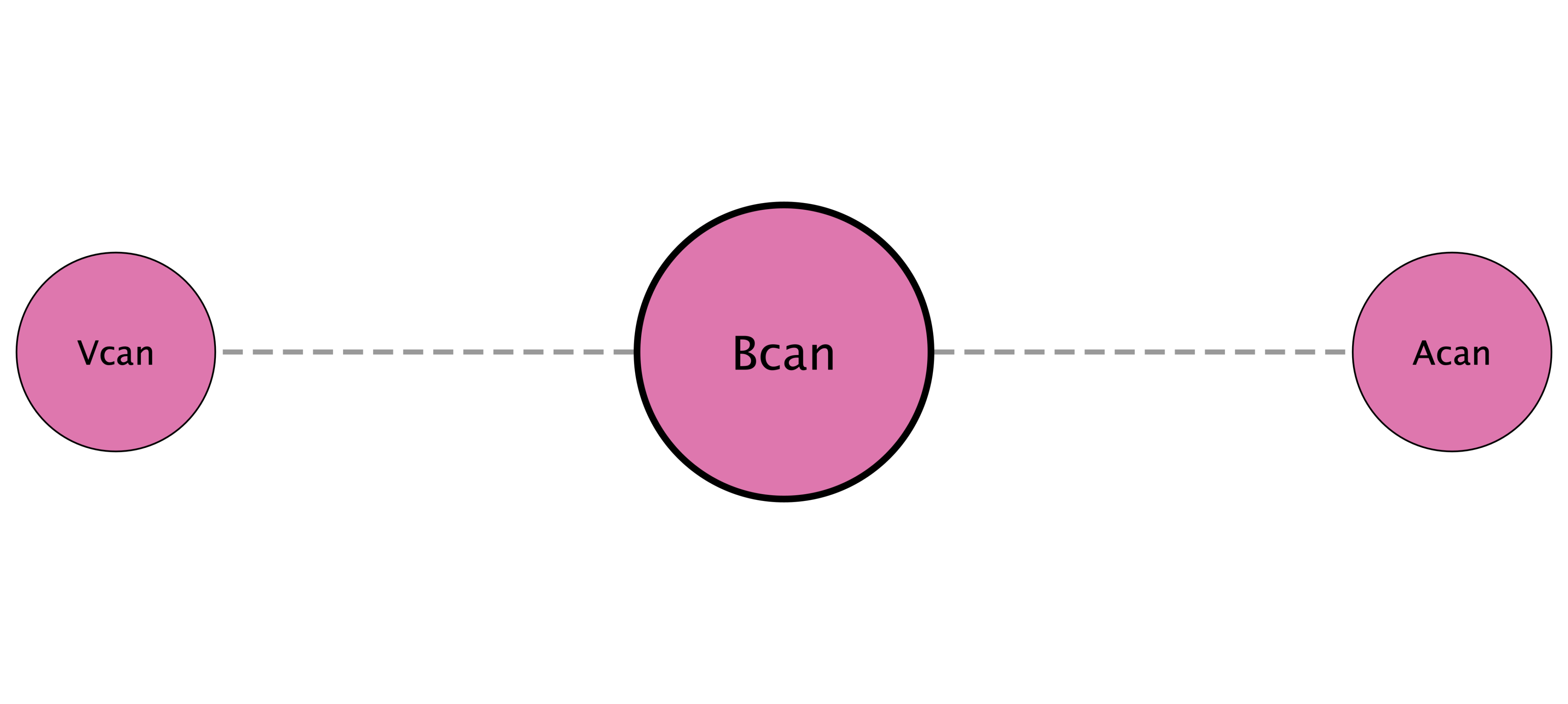 Bcan protein interaction network