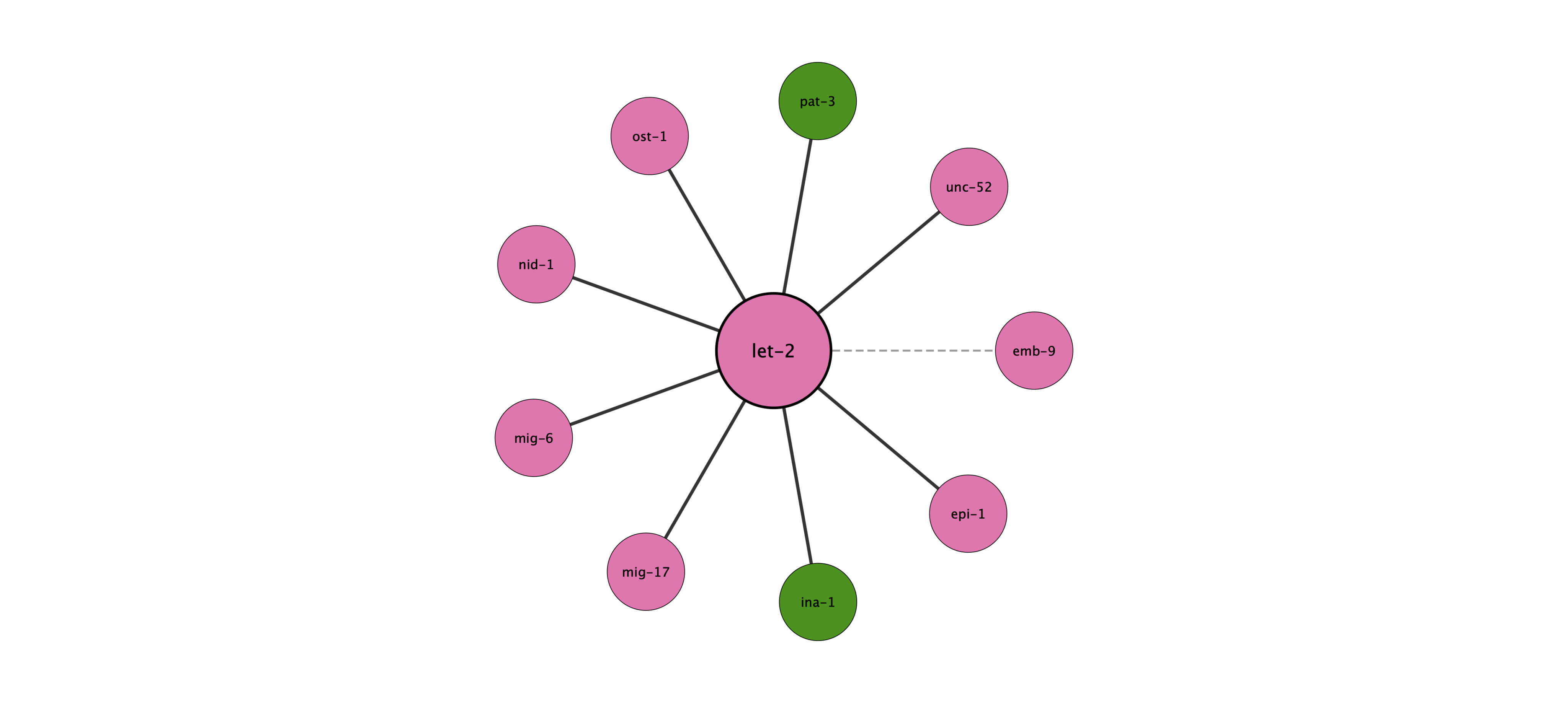 let-2 protein interaction network
