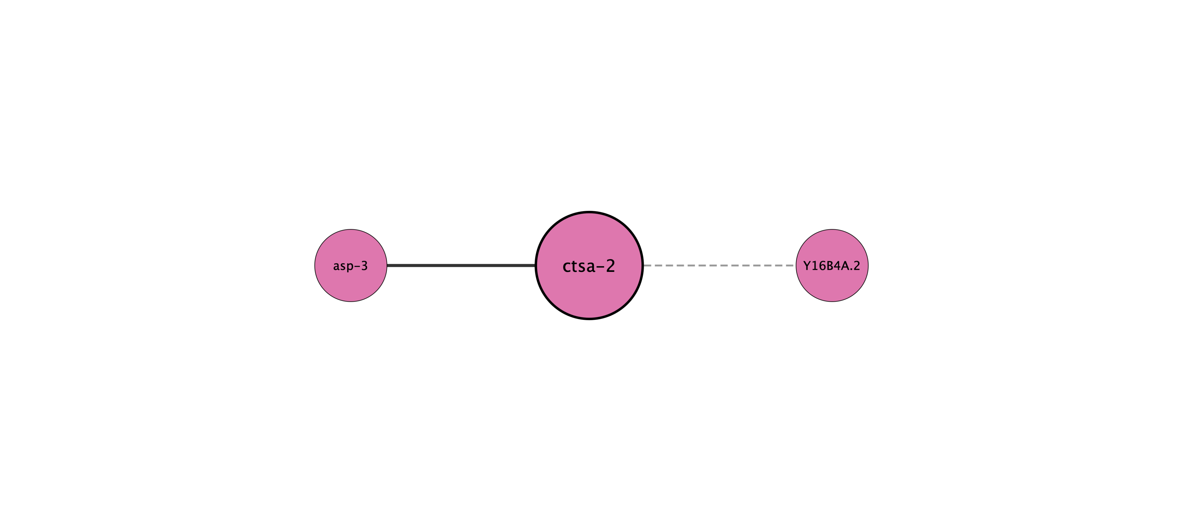 ctsa-2 protein interaction network