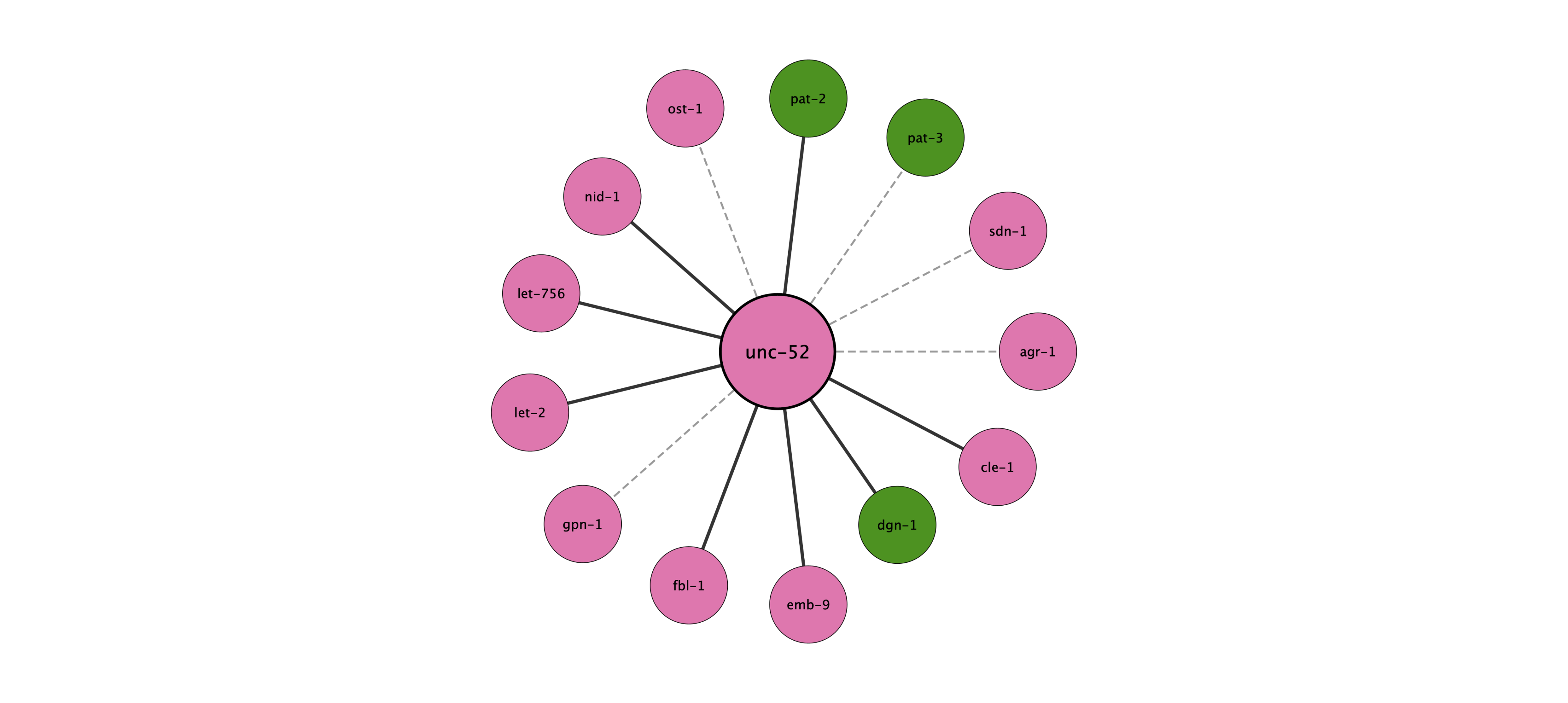 unc-52 protein interaction network