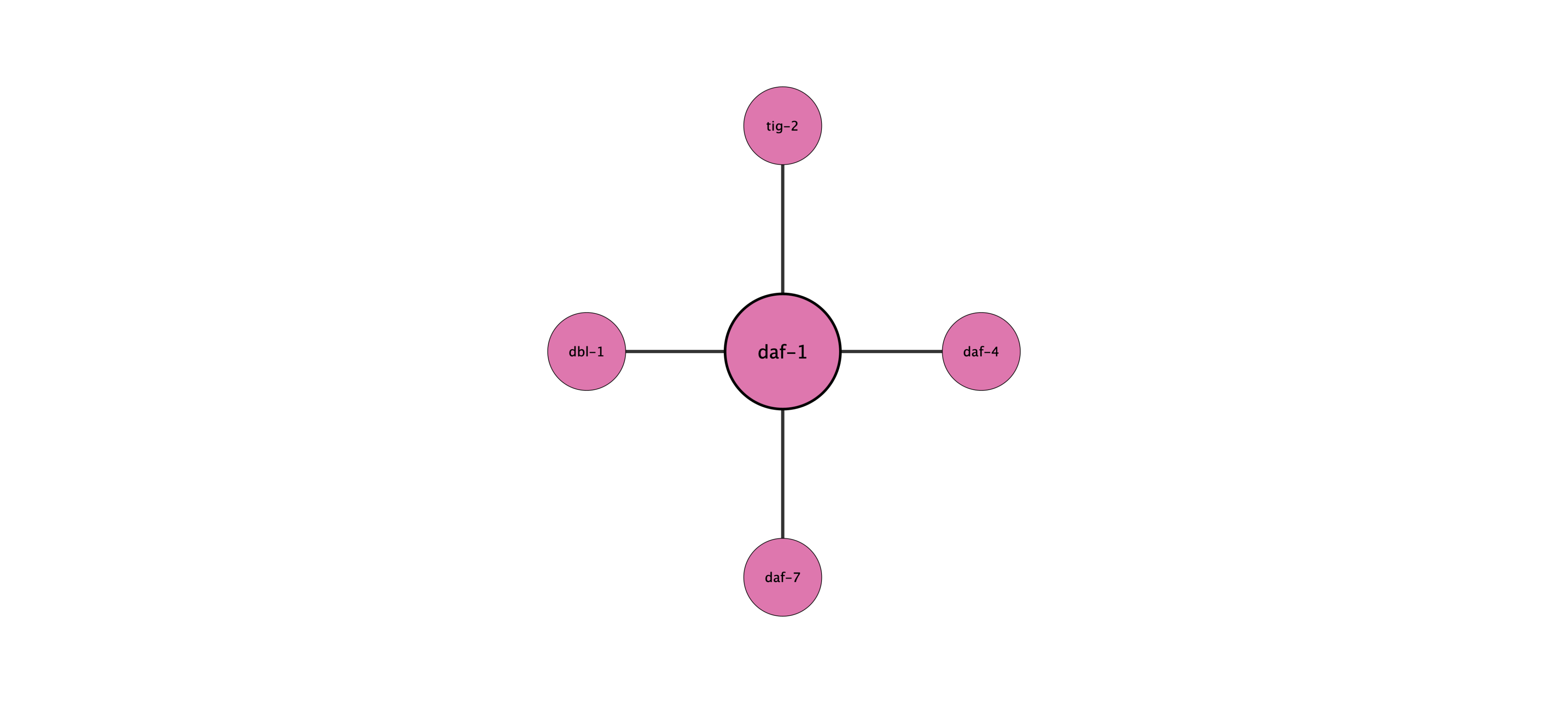 daf-1 protein interaction network