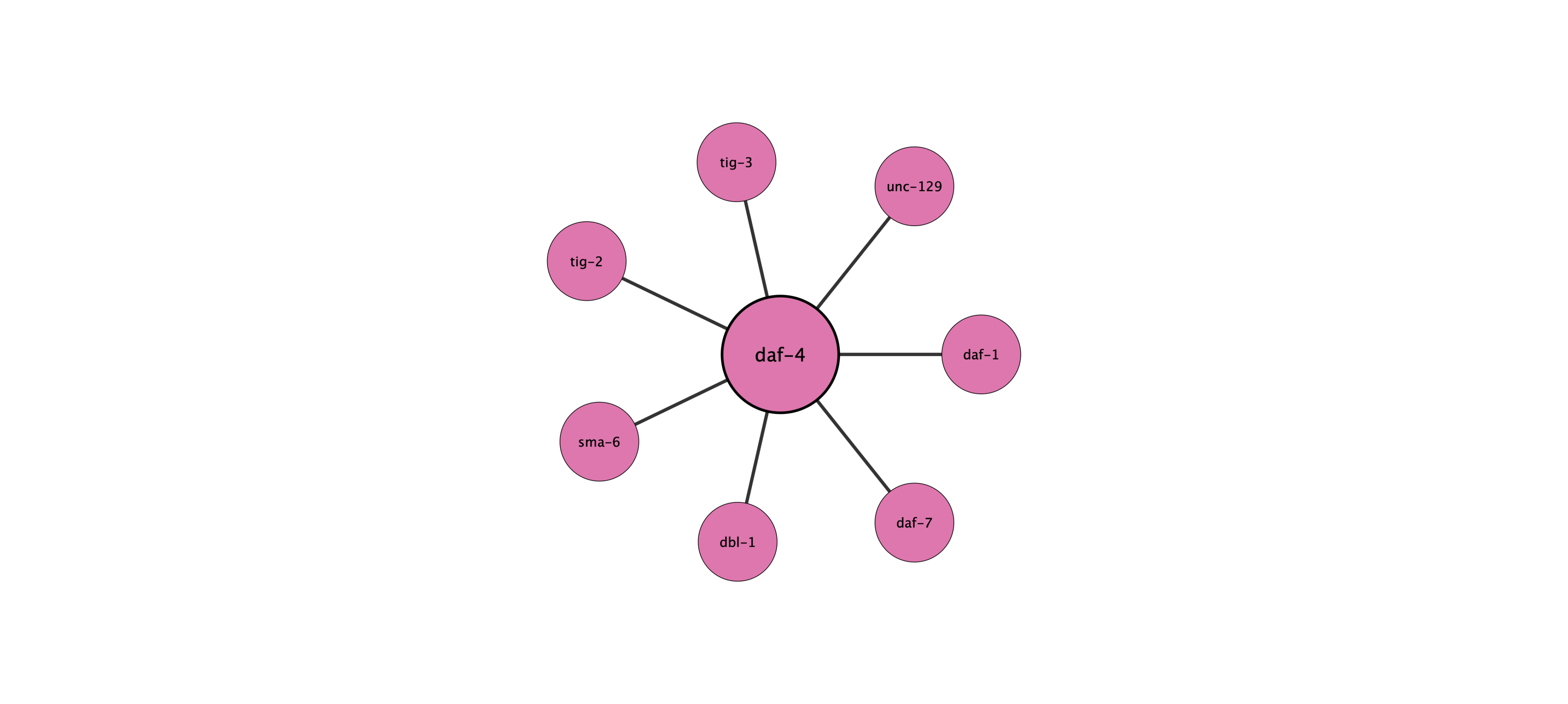 daf-4 protein interaction network