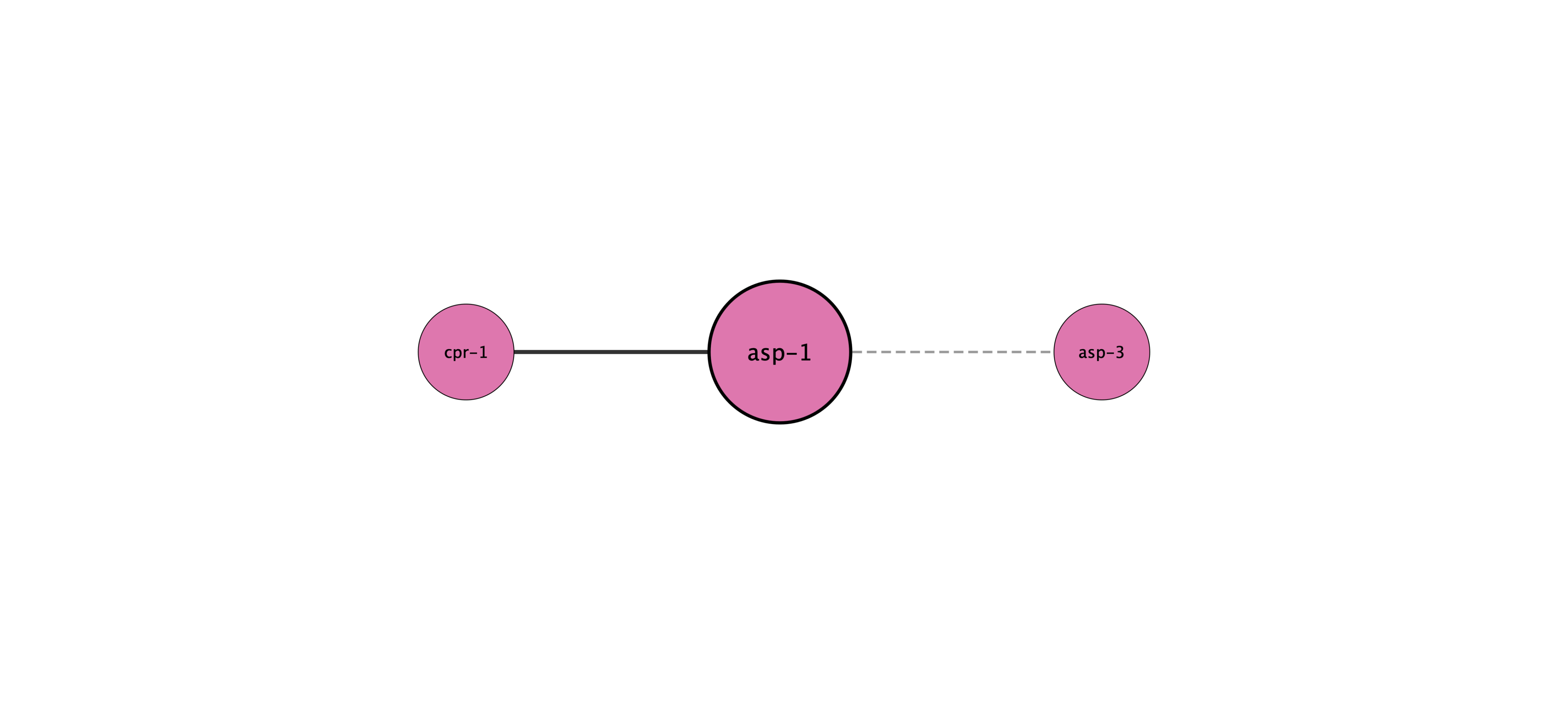 asp-1 protein interaction network