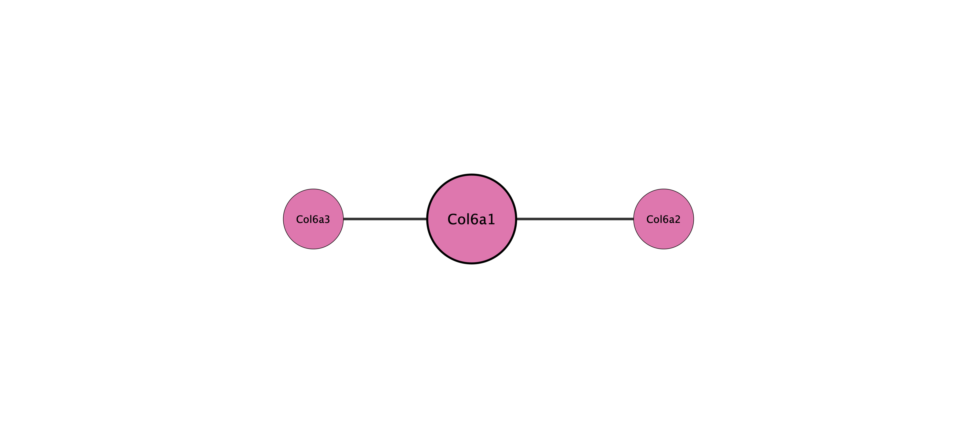Col6a1 protein interaction network