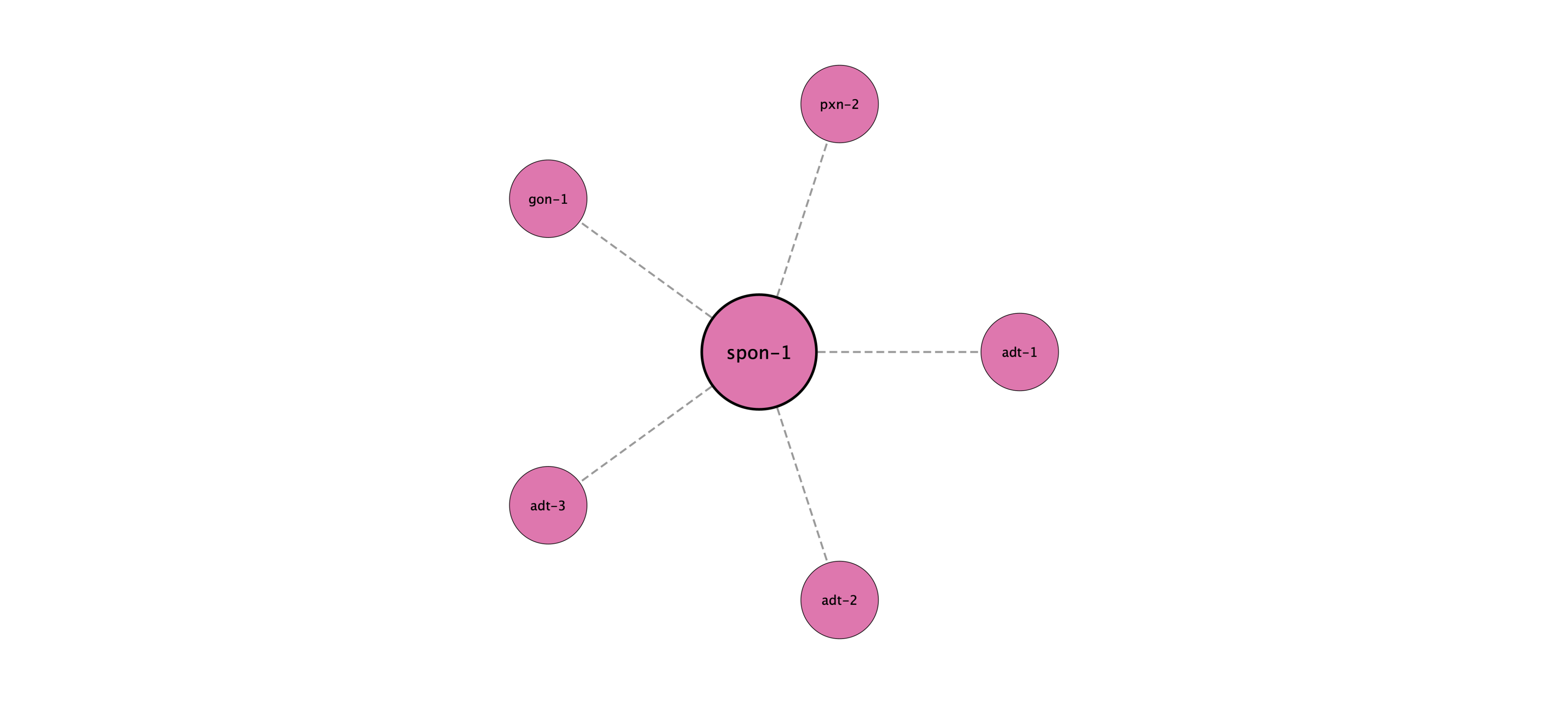 spon-1 protein interaction network