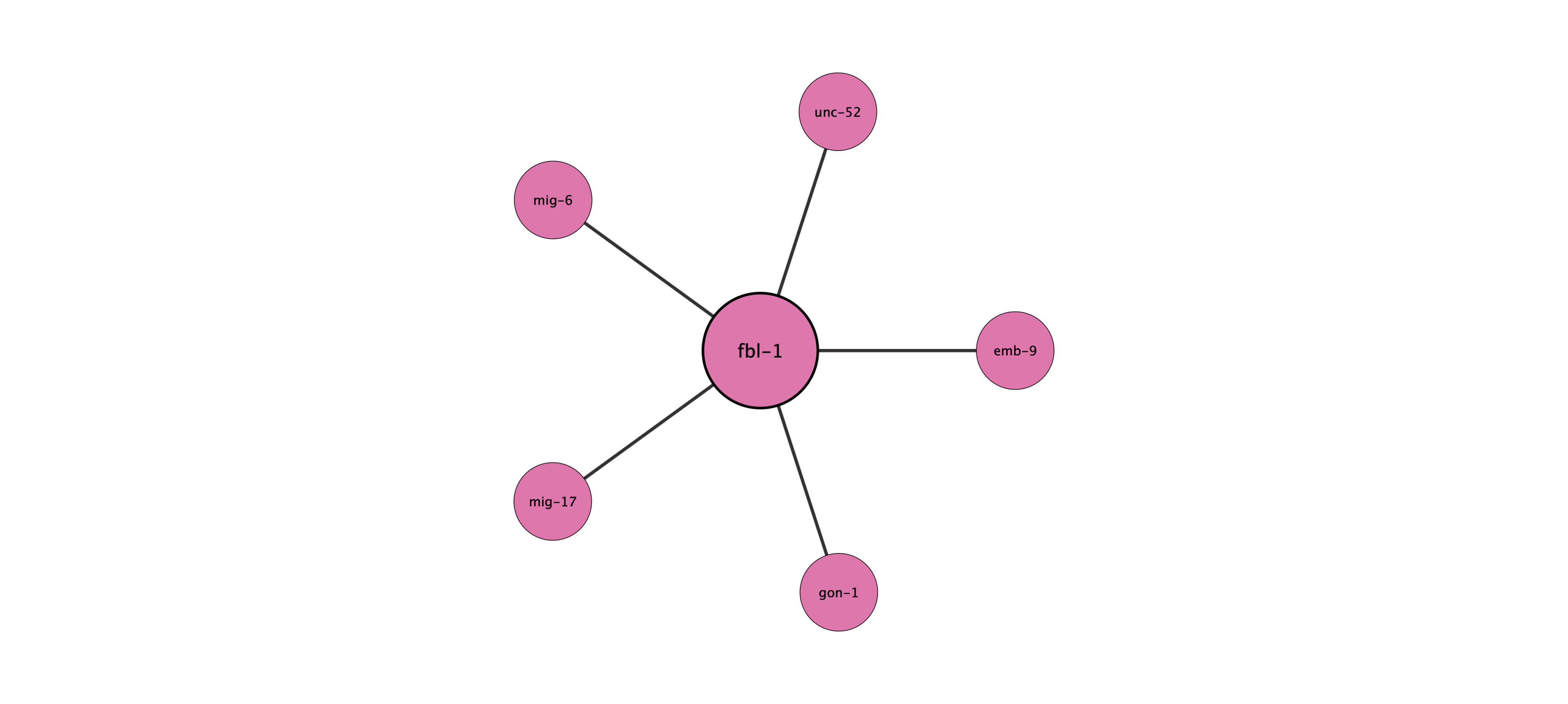 fbl-1 protein interaction network