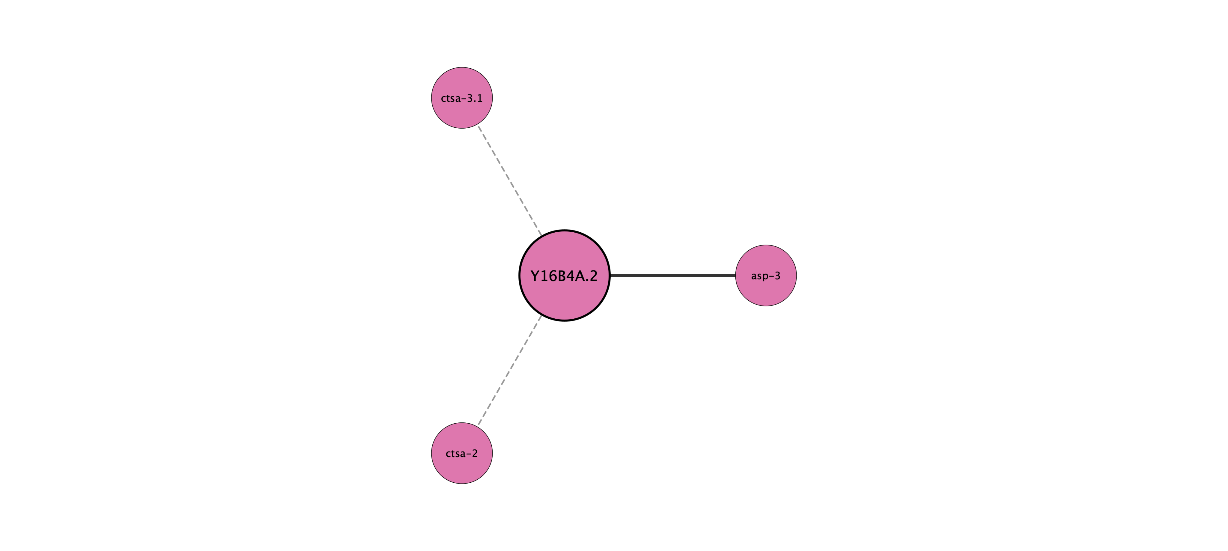 Y16B4A.2 protein interaction network