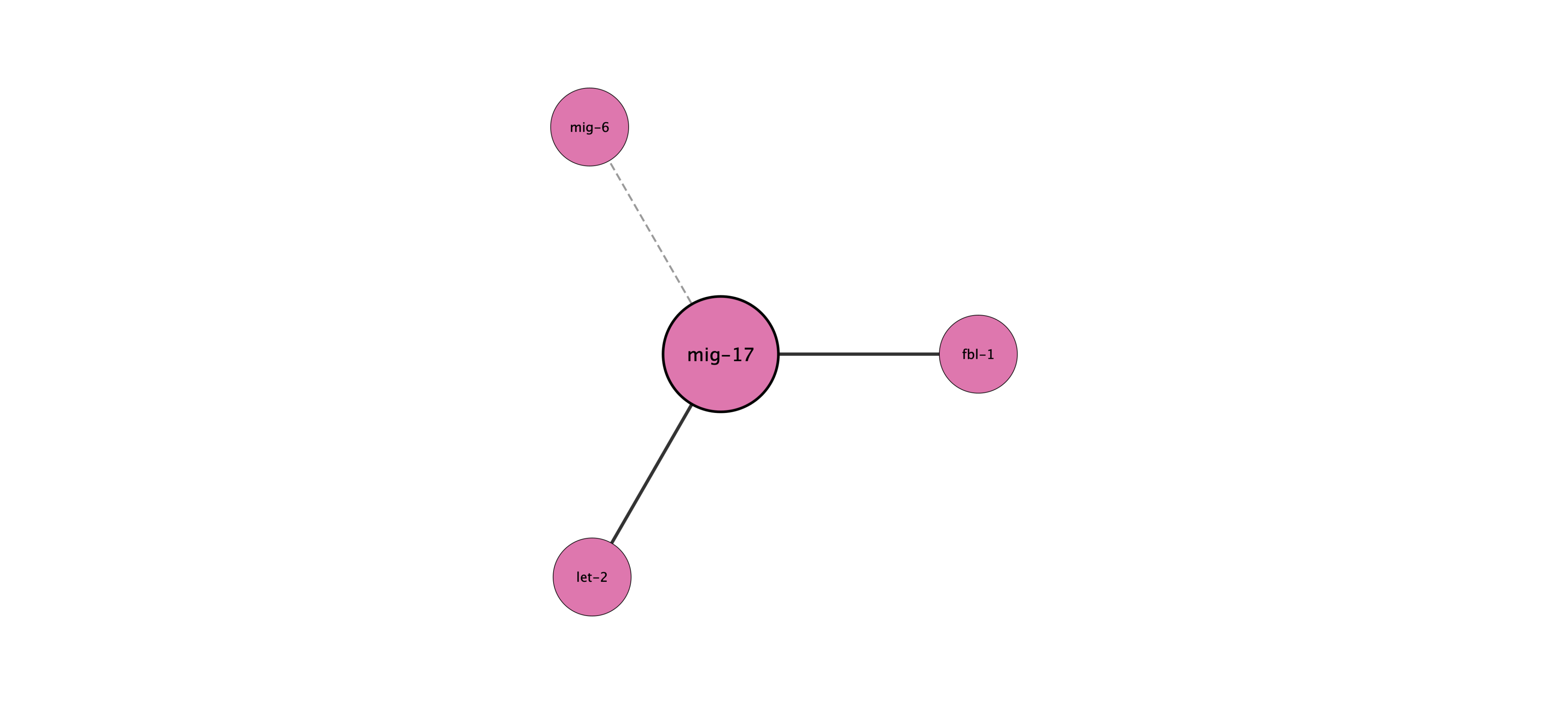 mig-17 protein interaction network