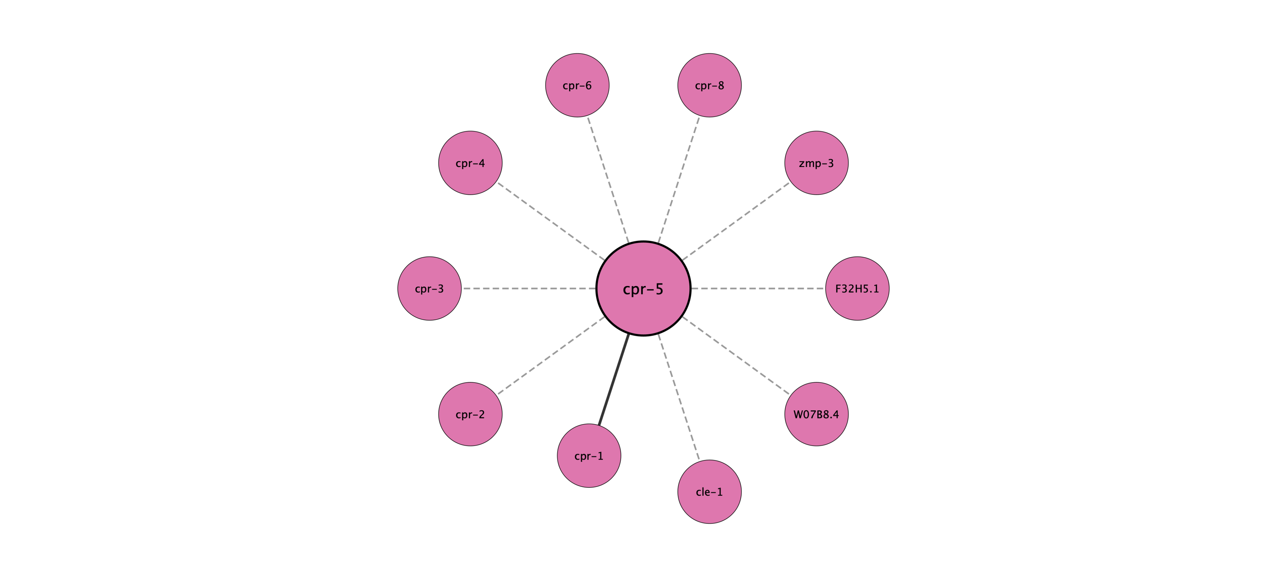 cpr-5 protein interaction network