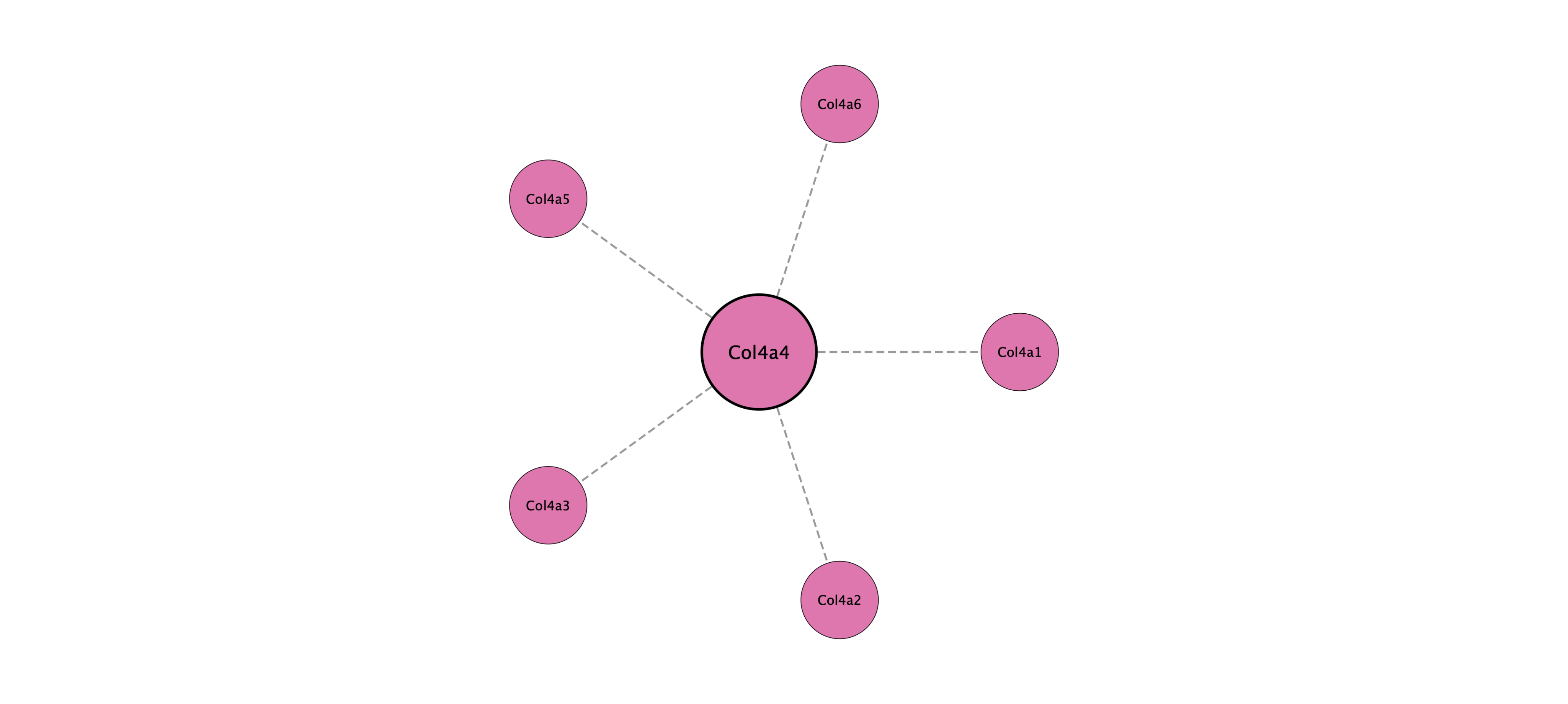 Col4a4 protein interaction network
