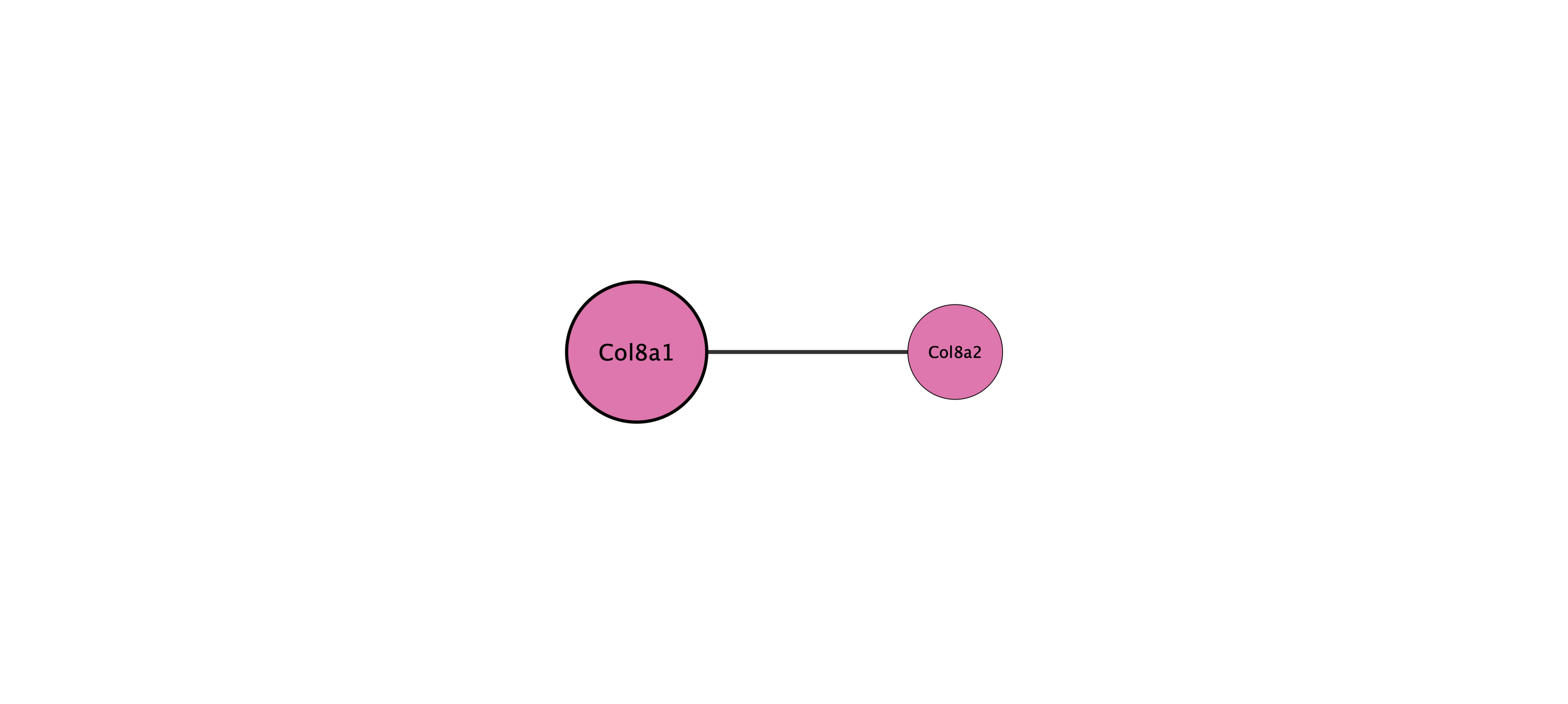 Col8a1 protein interaction network