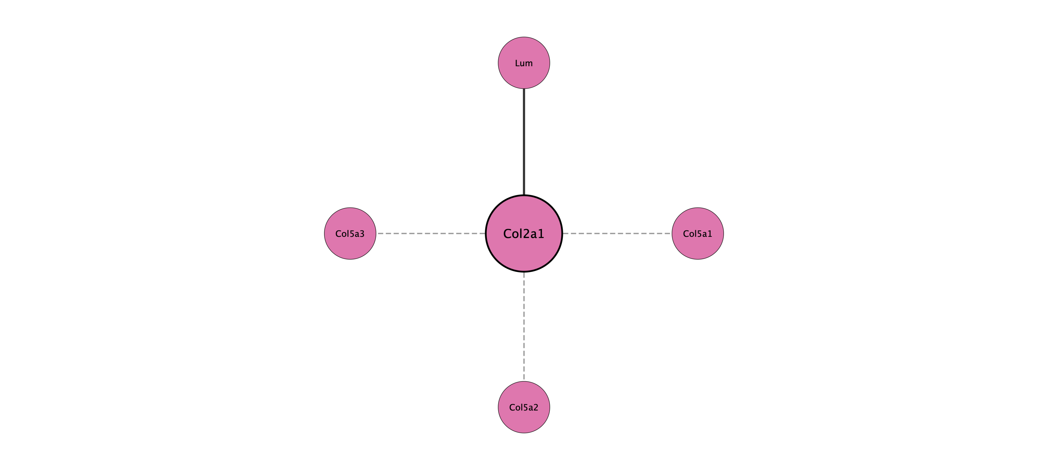 Col2a1 protein interaction network