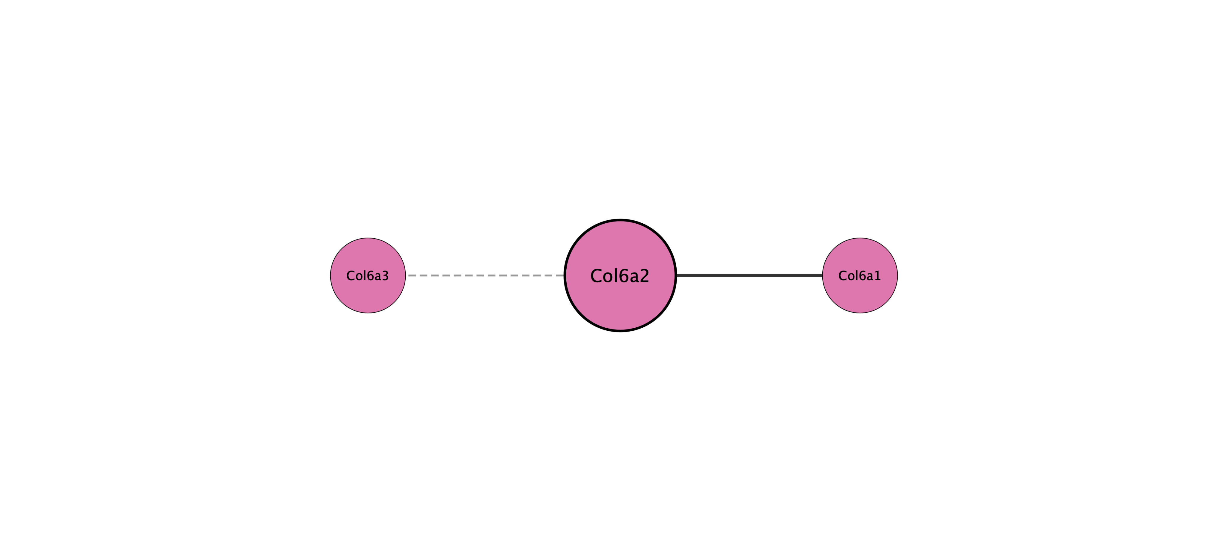 Col6a2 protein interaction network