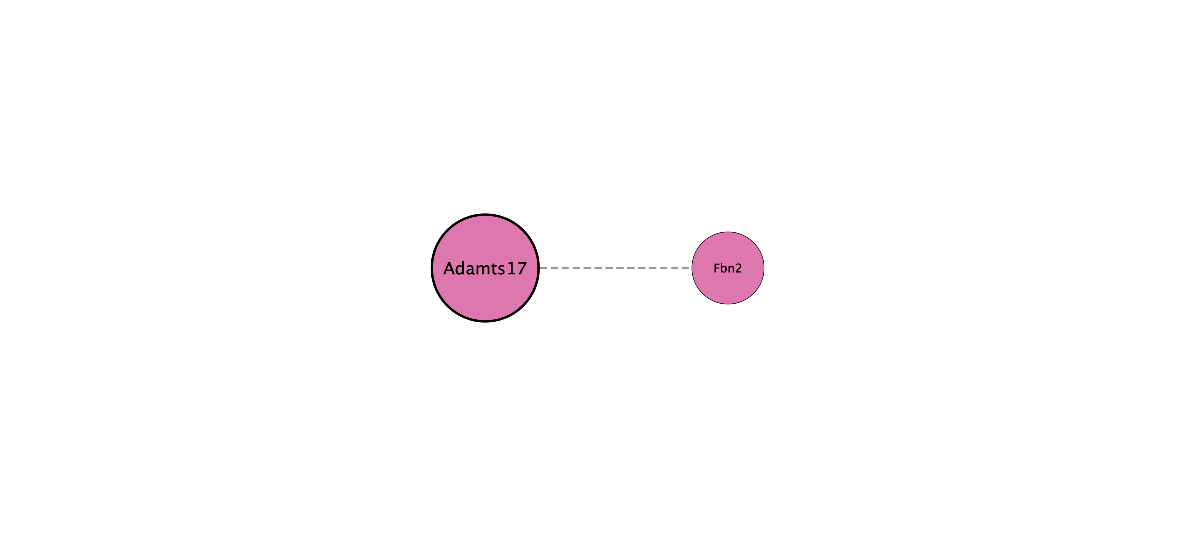 Adamts17 protein interaction network