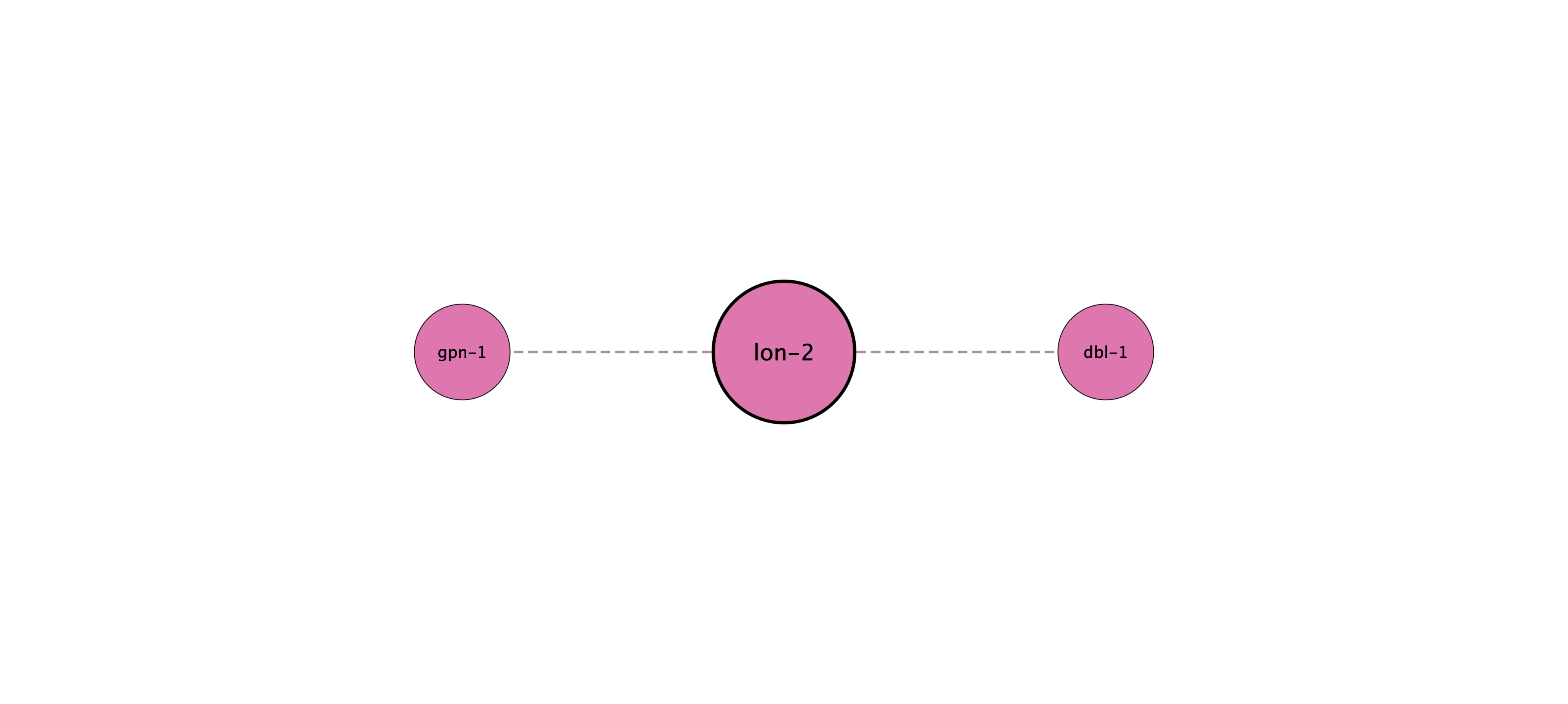 lon-2 protein interaction network