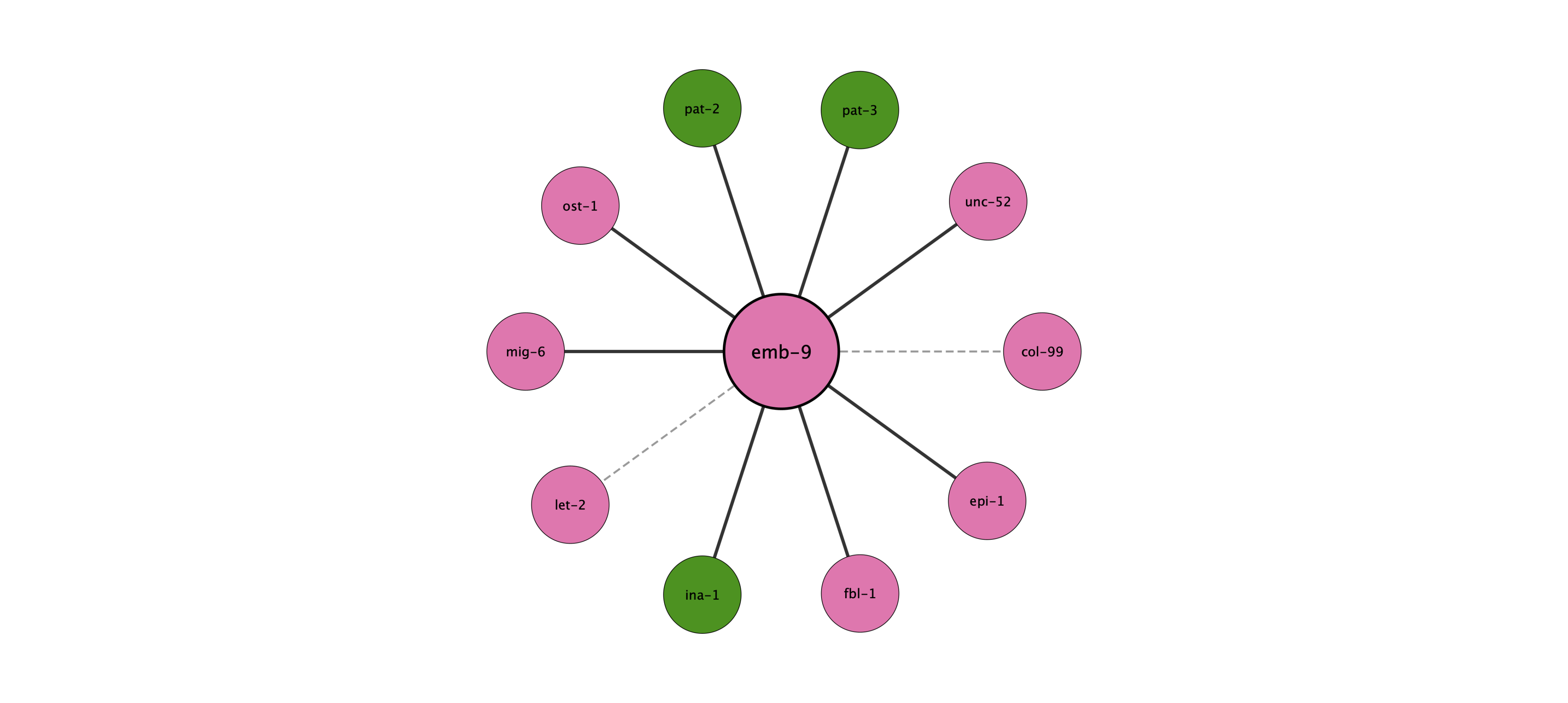 emb-9 protein interaction network