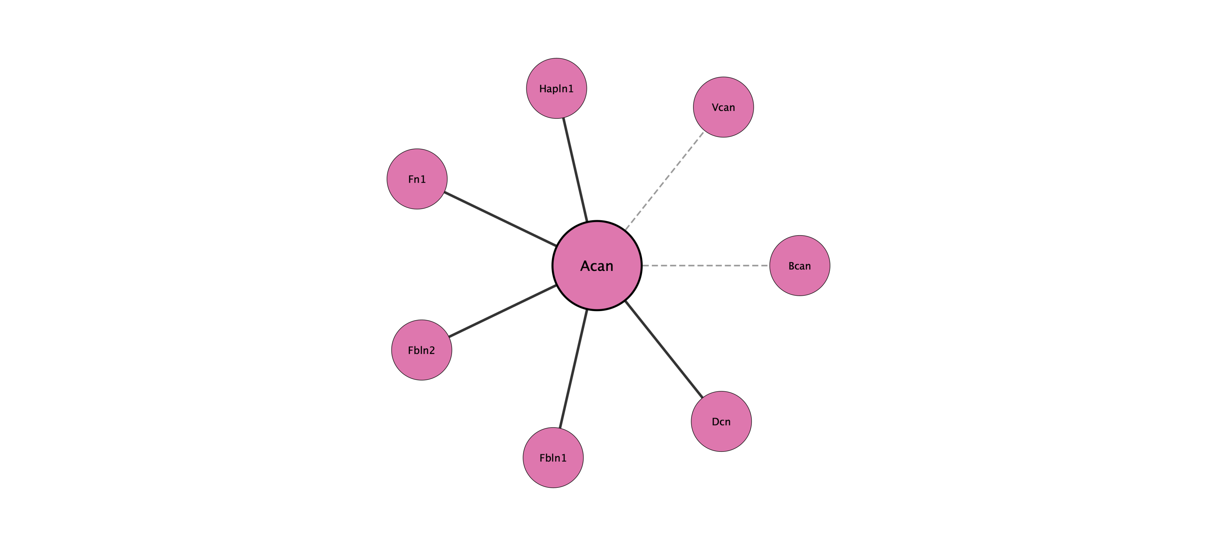 Acan protein interaction network